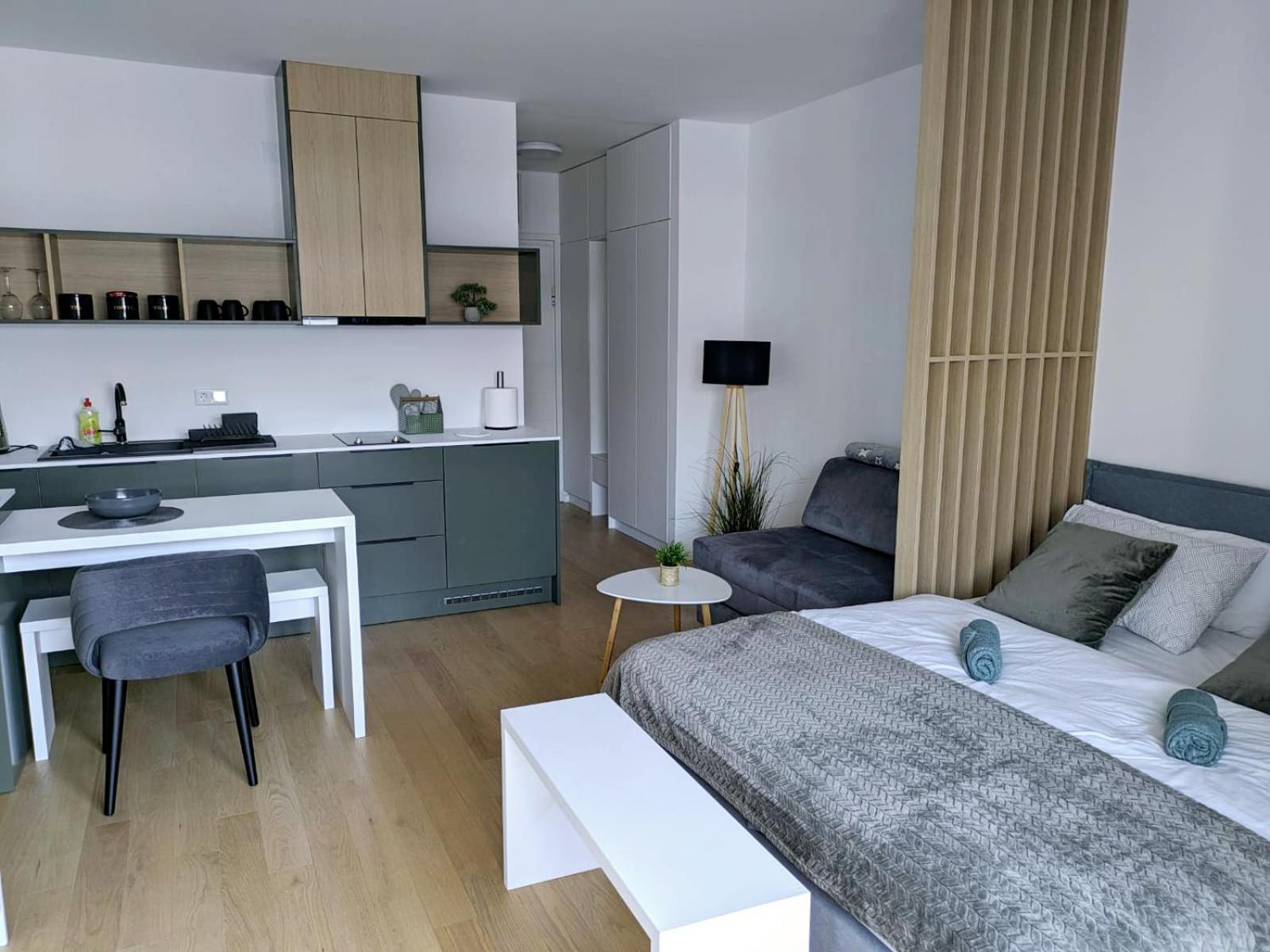 Studio Apartment with Balcony photo 1