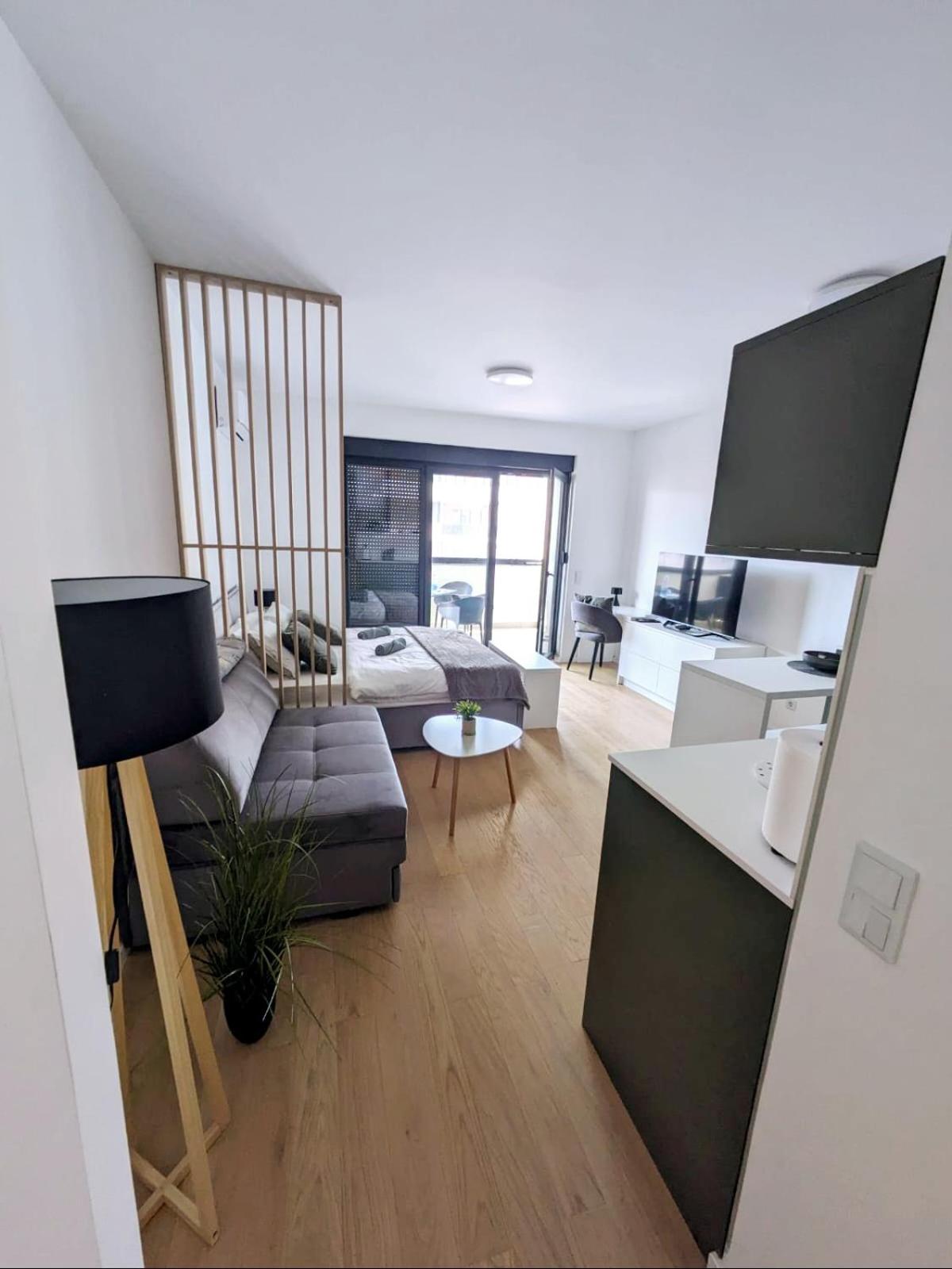Studio Apartment with Balcony photo 3