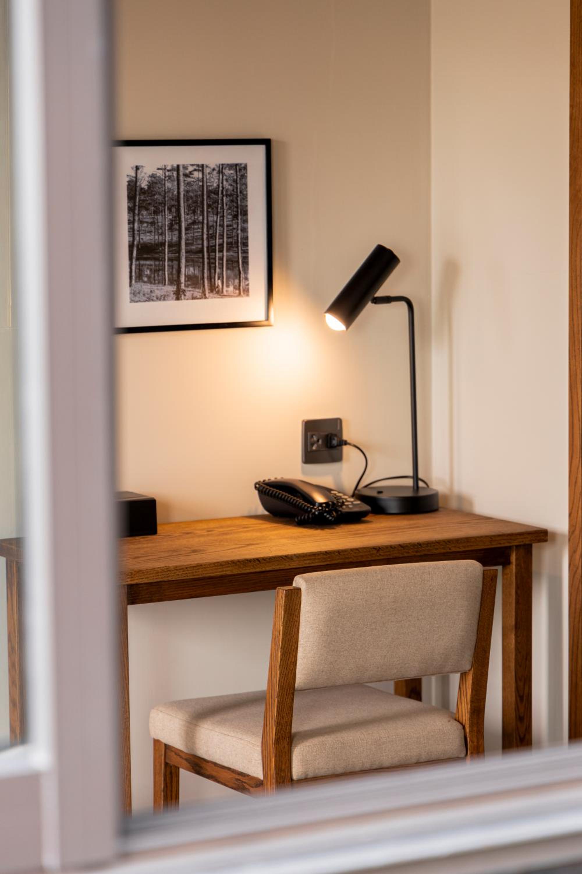 Suite - Photo 19