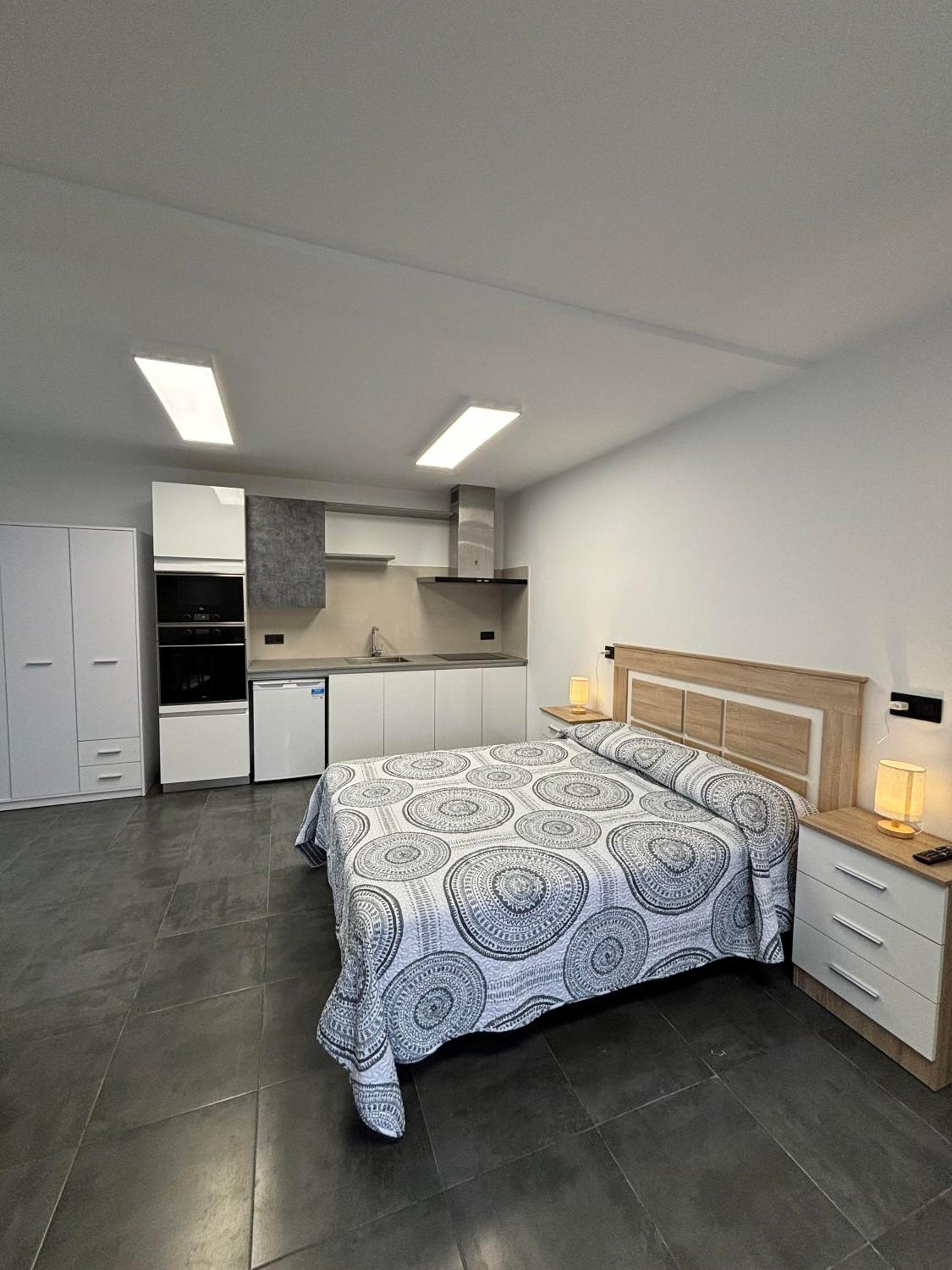 One-bedroom Loft Apartment  - Photo 1