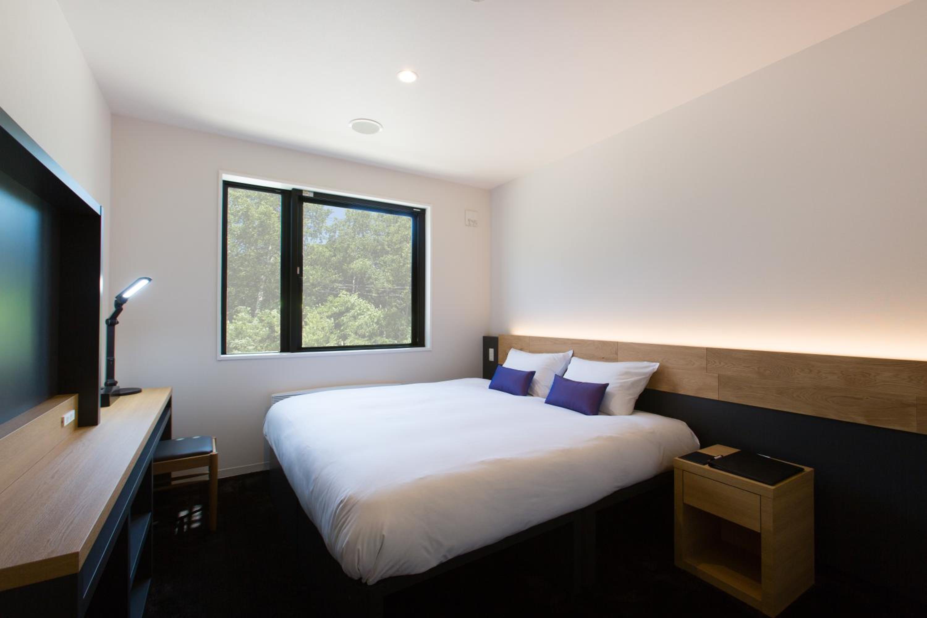 Deluxe Niseko Room (Upper Floor with Shower) photo 3