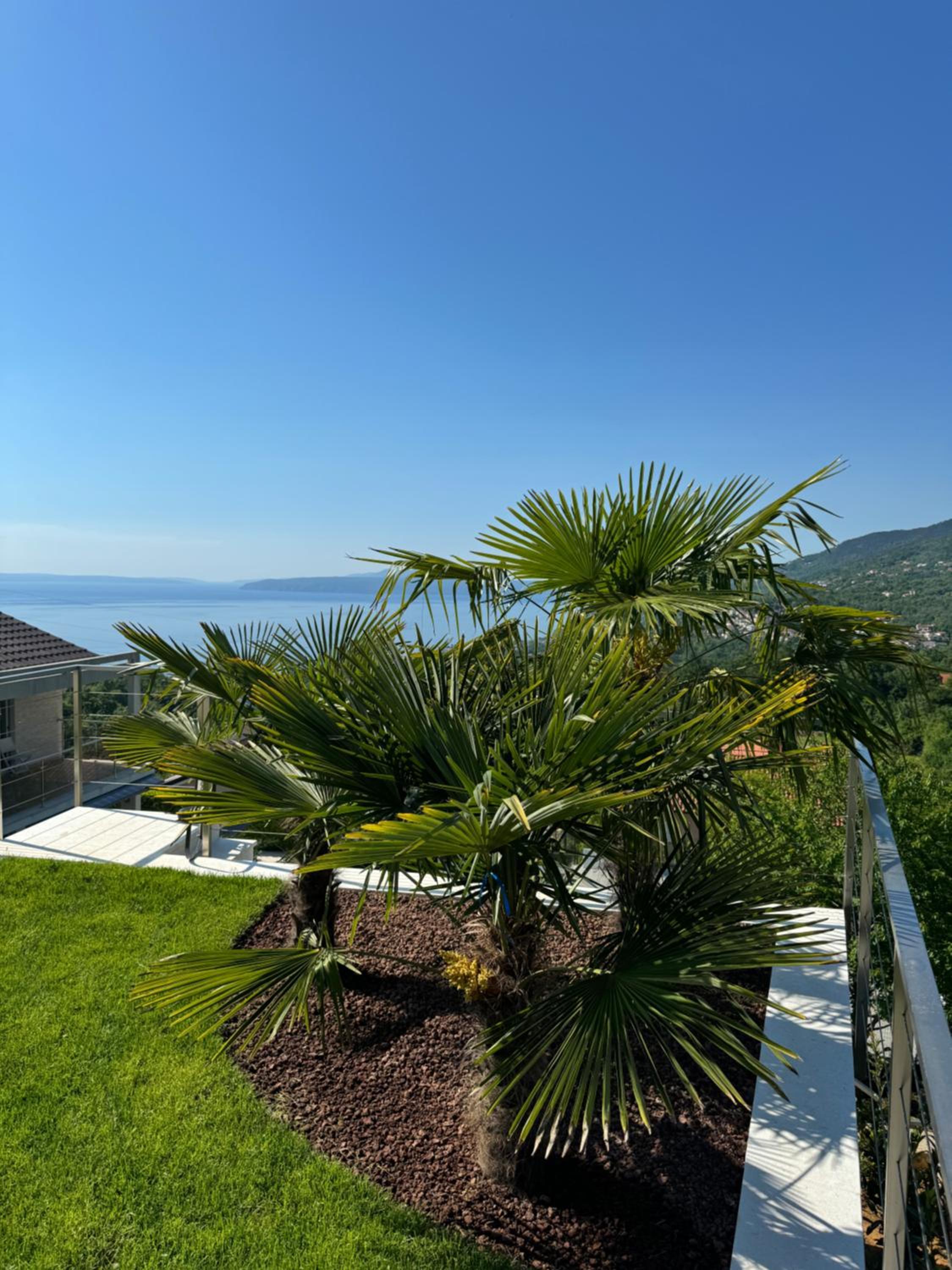 Three-Bedroom Villa photo 2