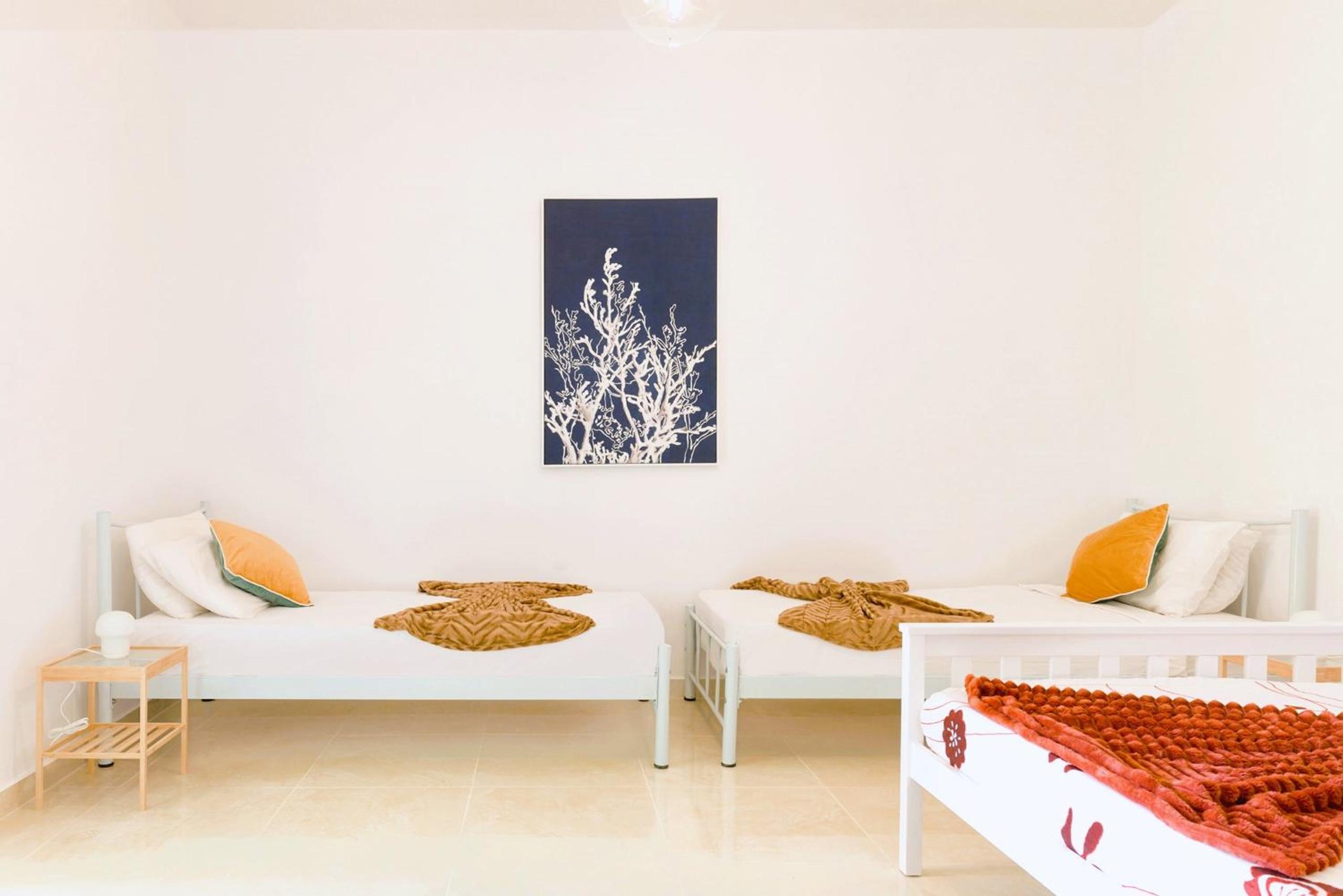 One-Bedroom Apartment photo 3