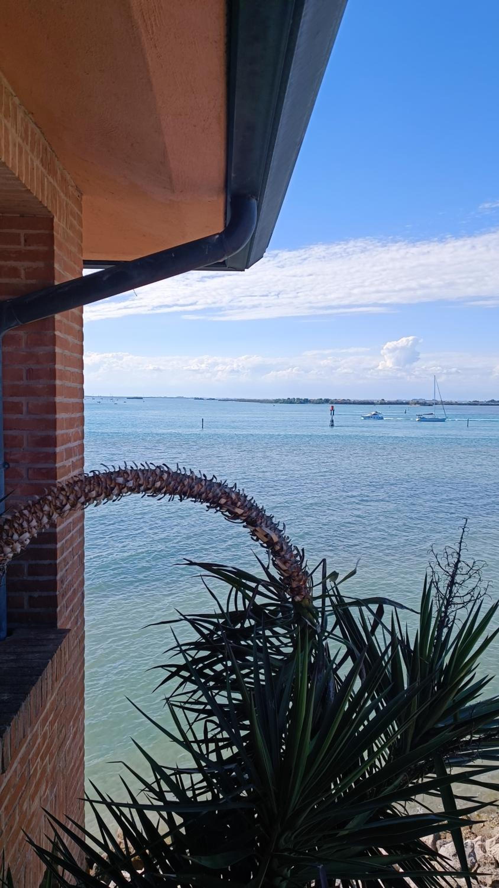 Apartment with Sea View photo 1