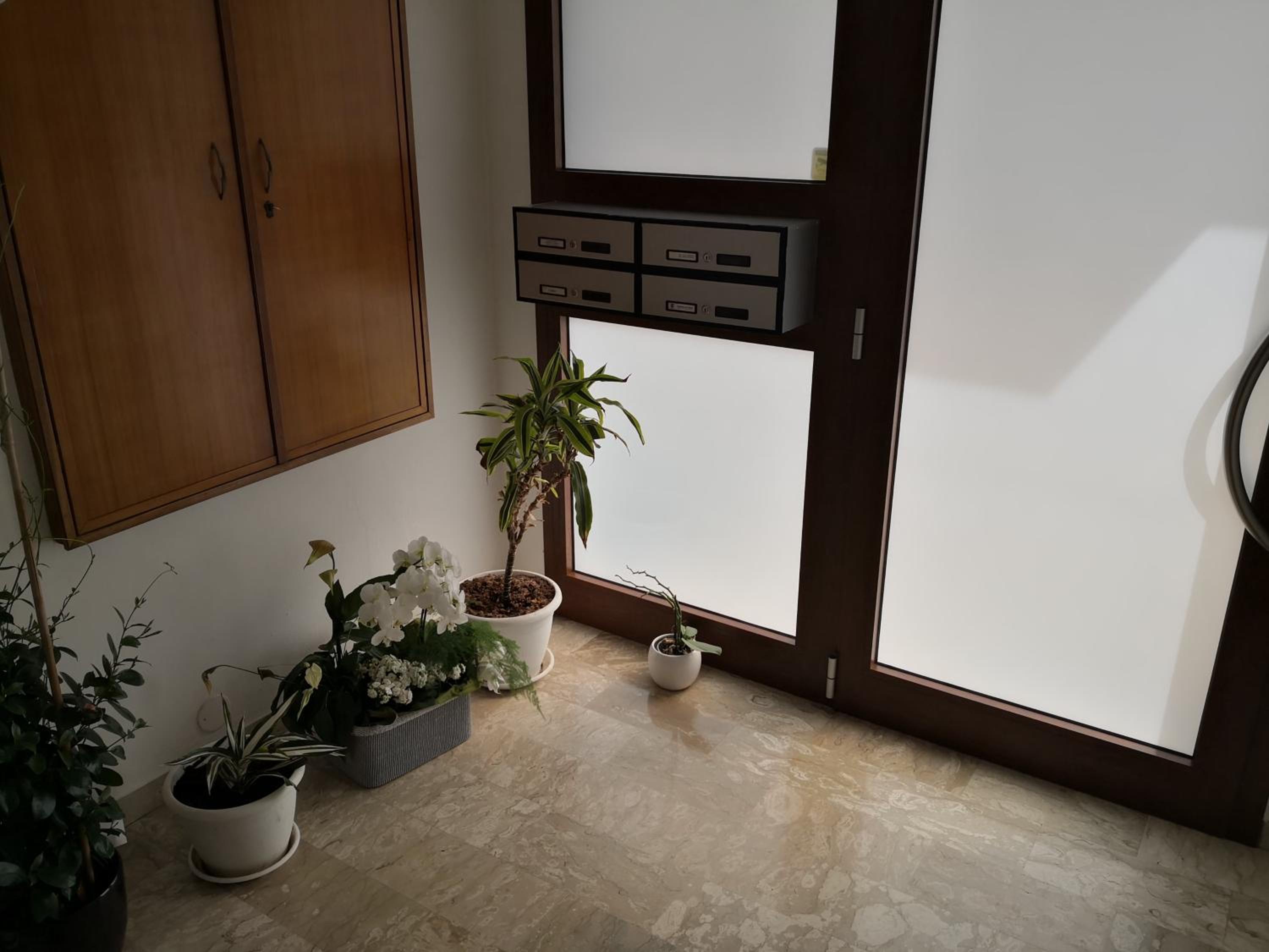 Apartment with Mountain View photo 3