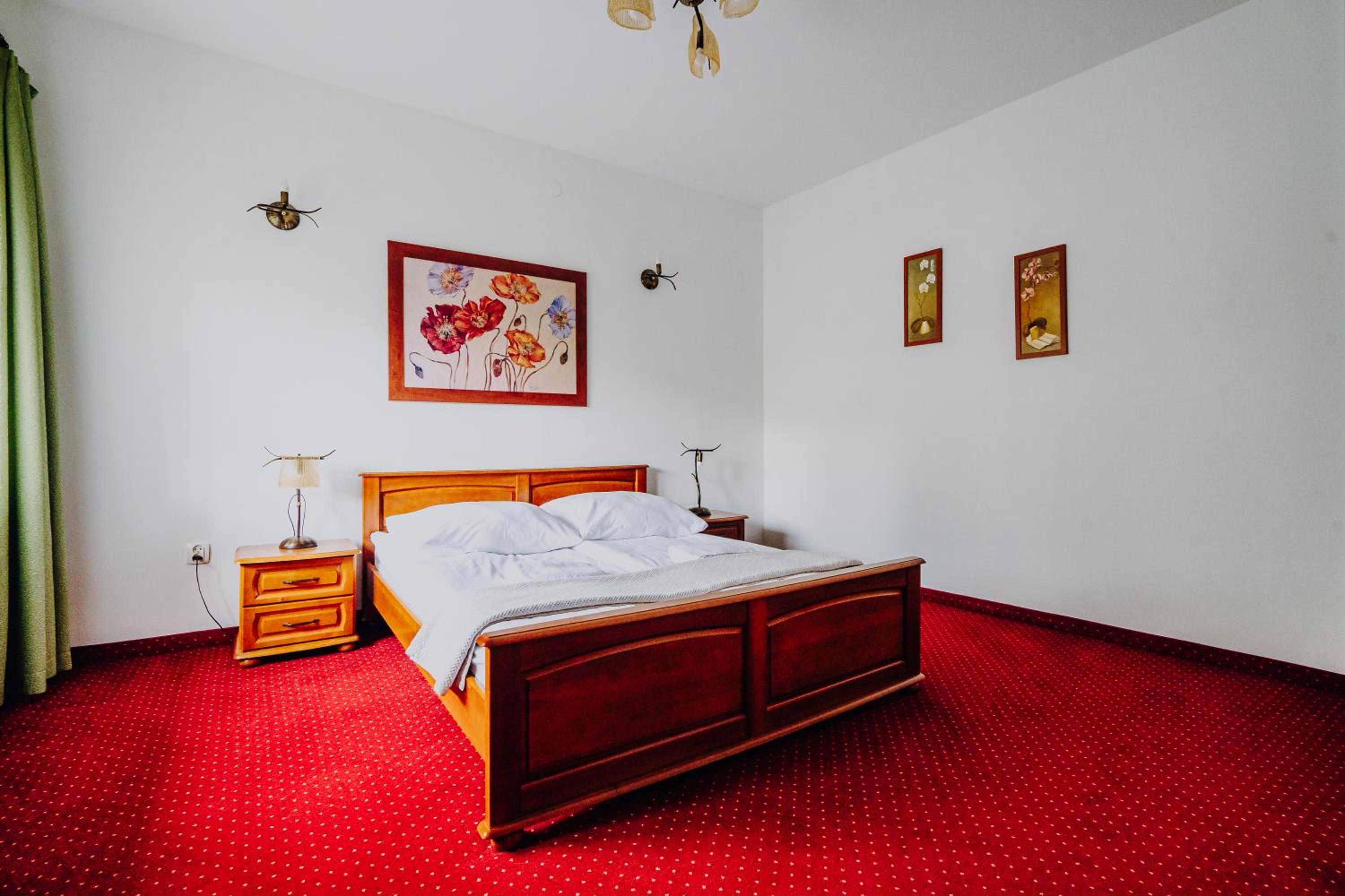 Suite with Mountain View - Photo 4