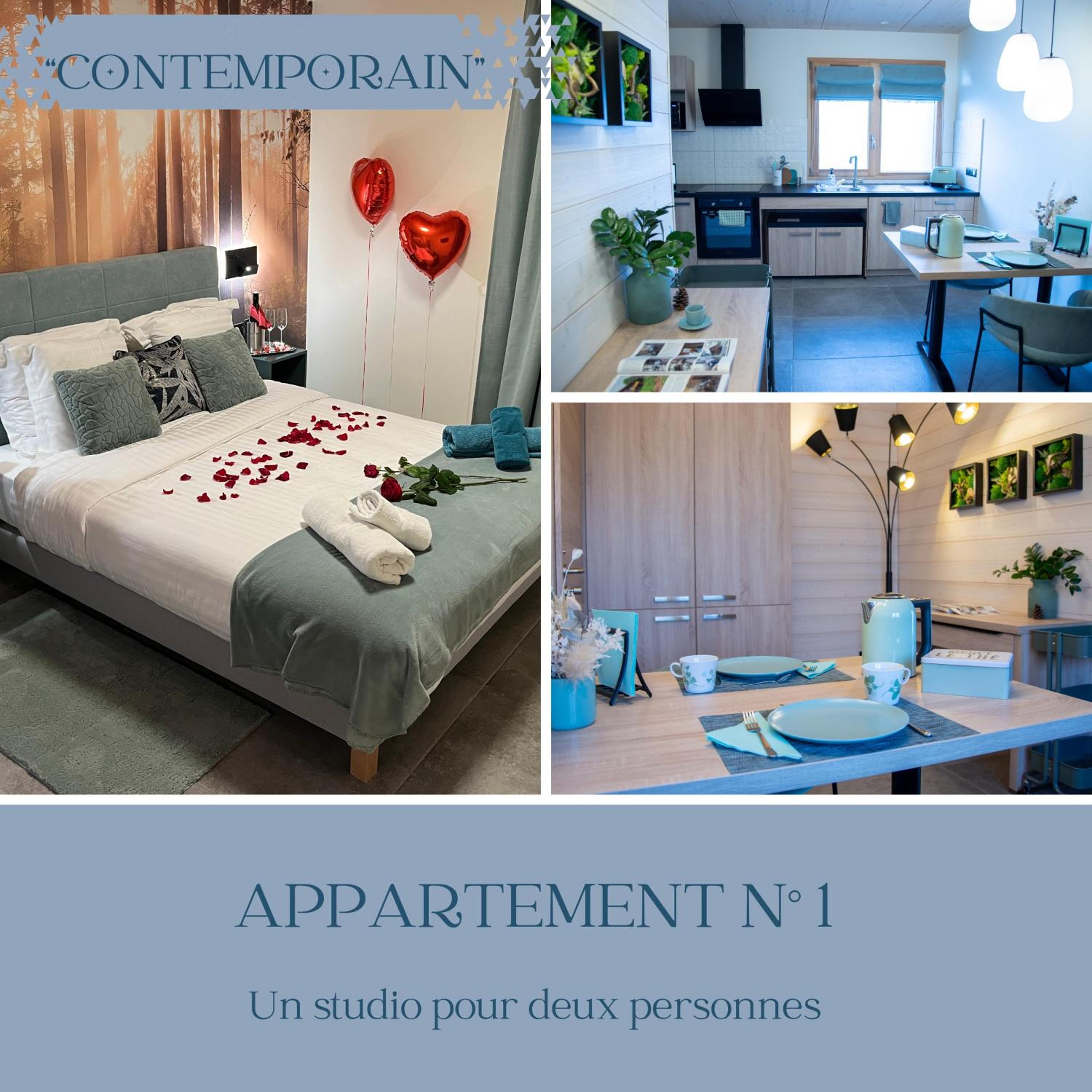 One-Bedroom Apartment - Le Contemporain photo 2