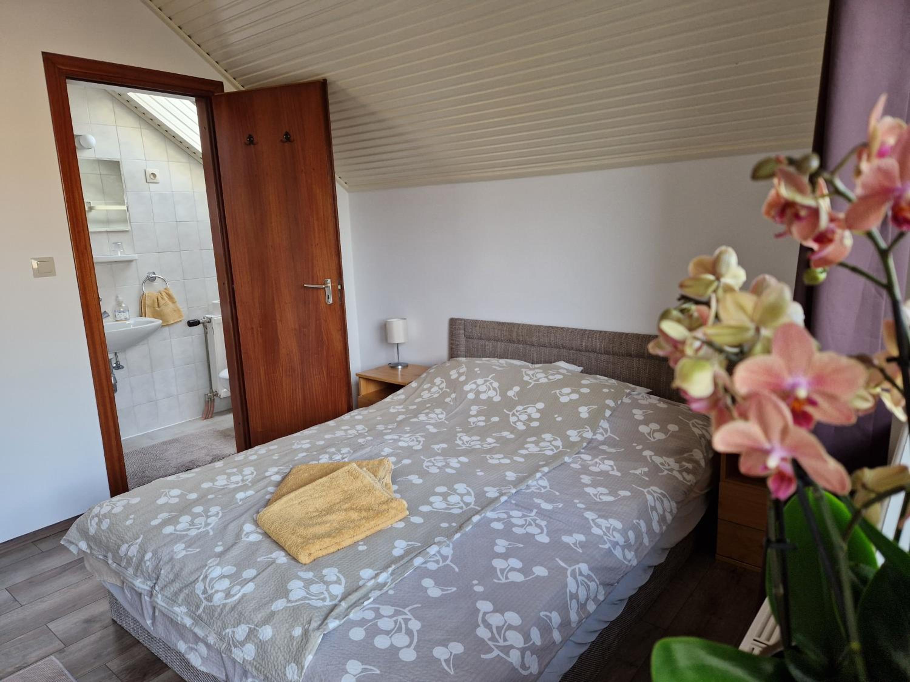 Double Room with Balcony photo 3