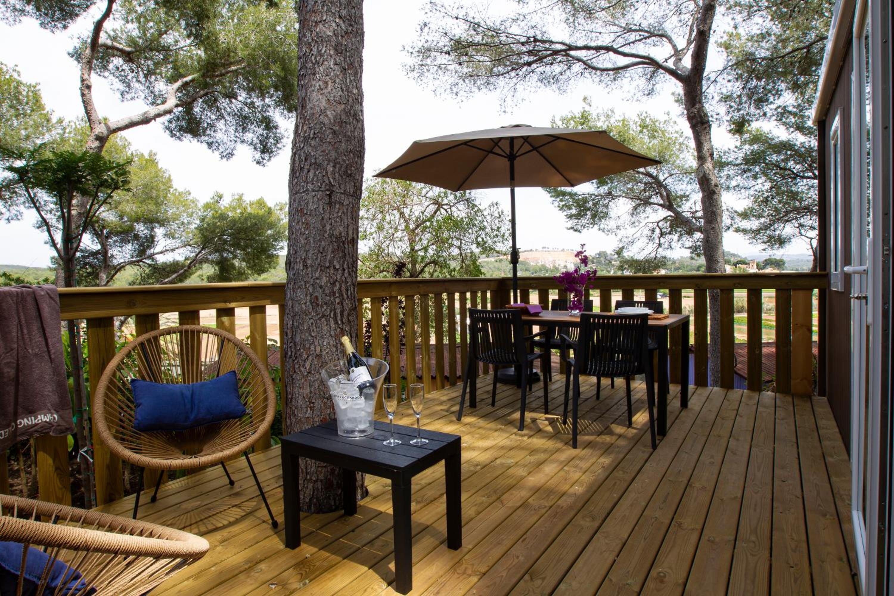 Mobile home Titania photo 3