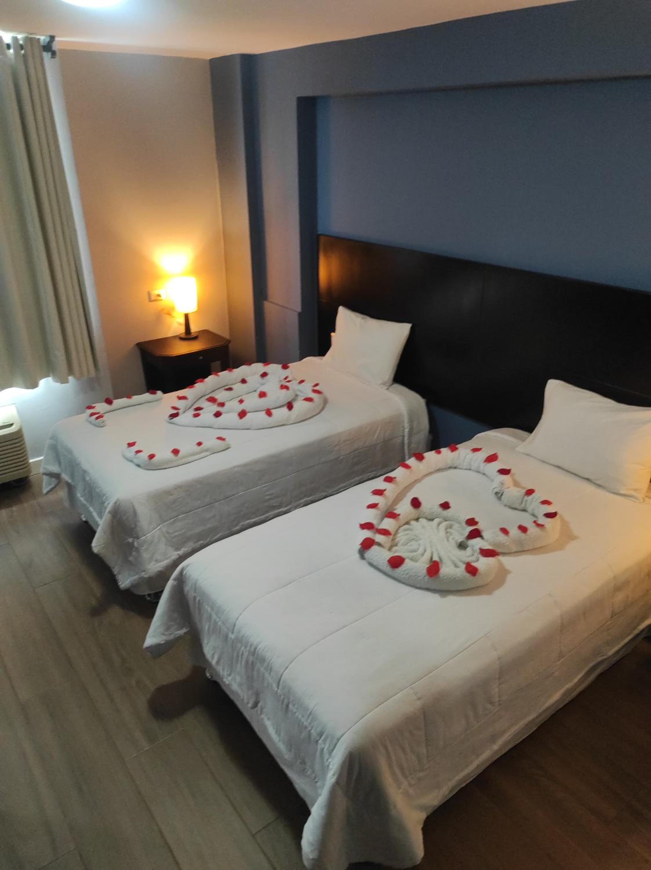 Twin Room photo 1