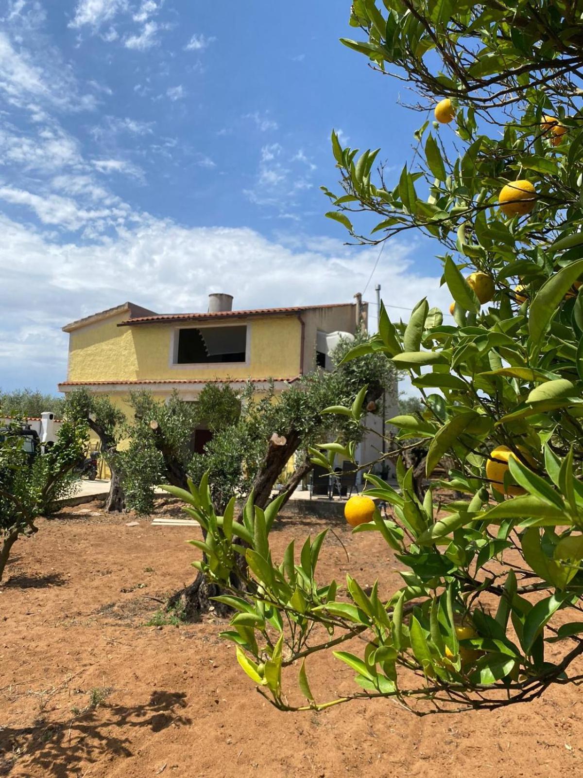 Deluxe Villa photo 2