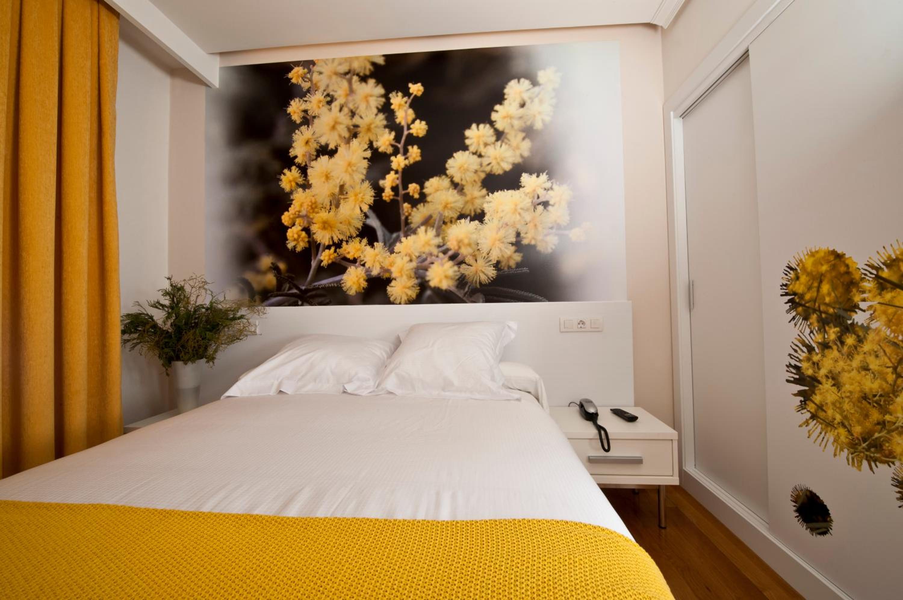 Superior Double or Twin Room - Photo 2