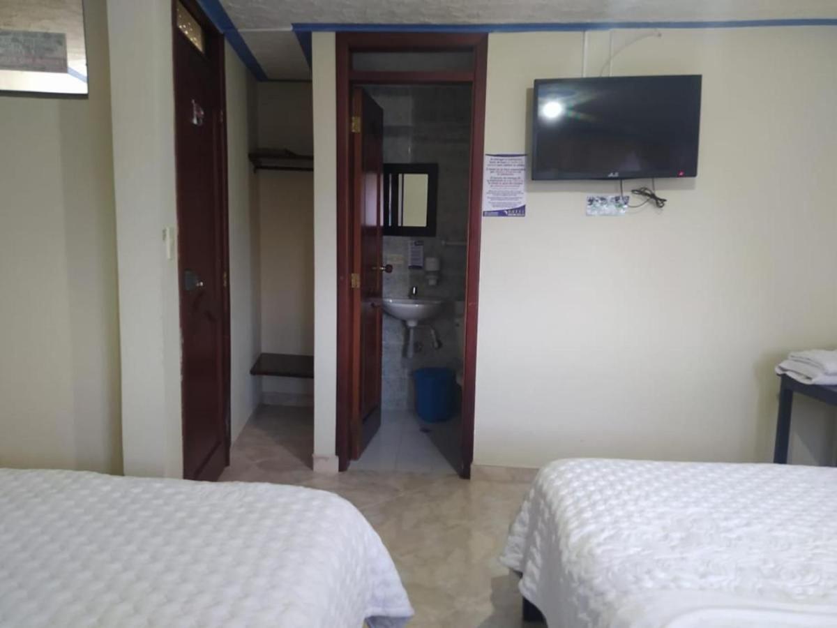 Twin Room photo 1