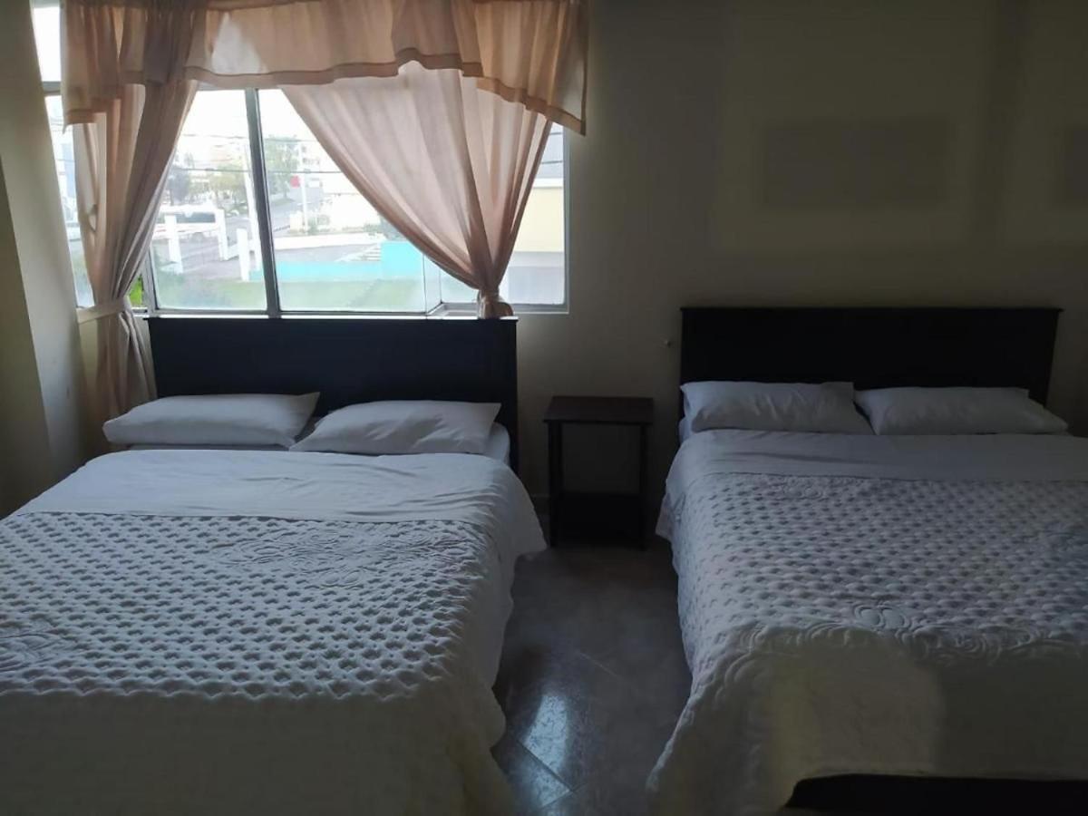 Twin Room photo 2