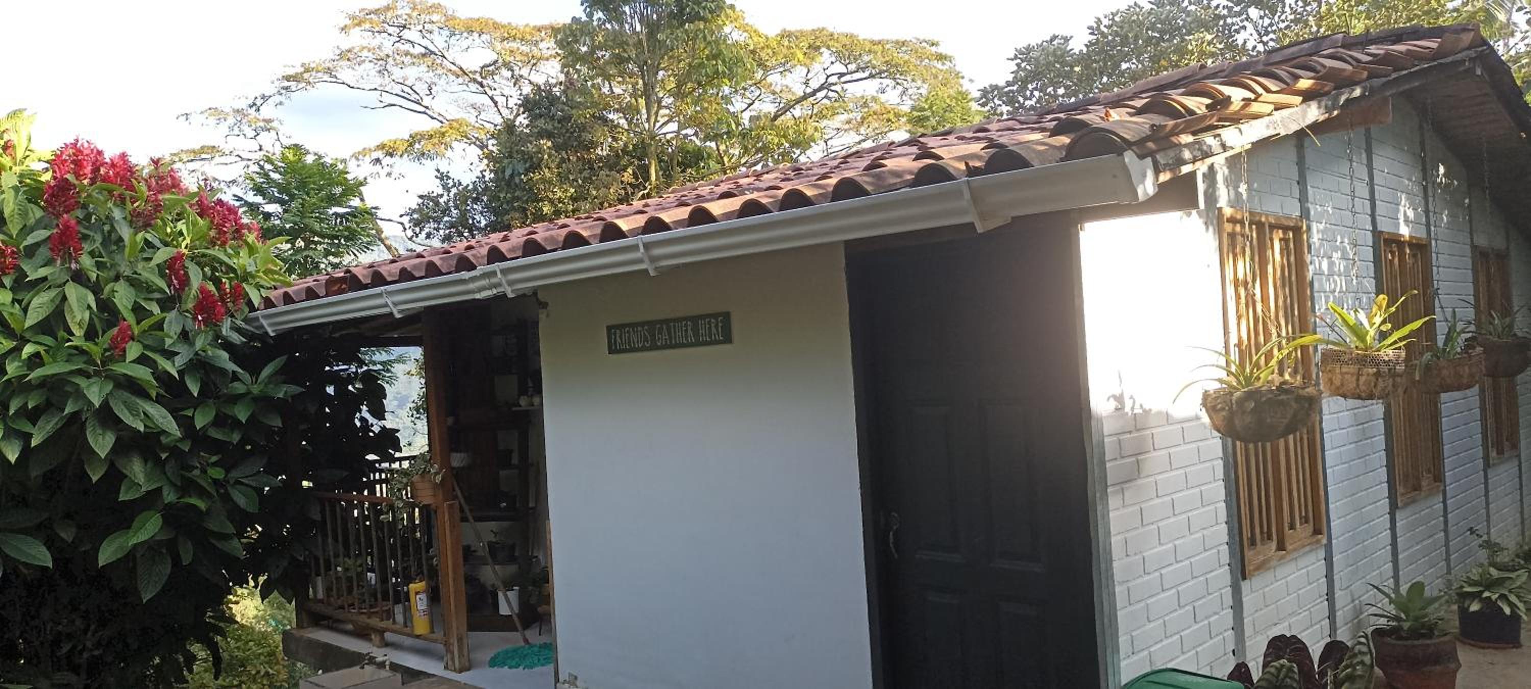 Family Bungalow photo 2