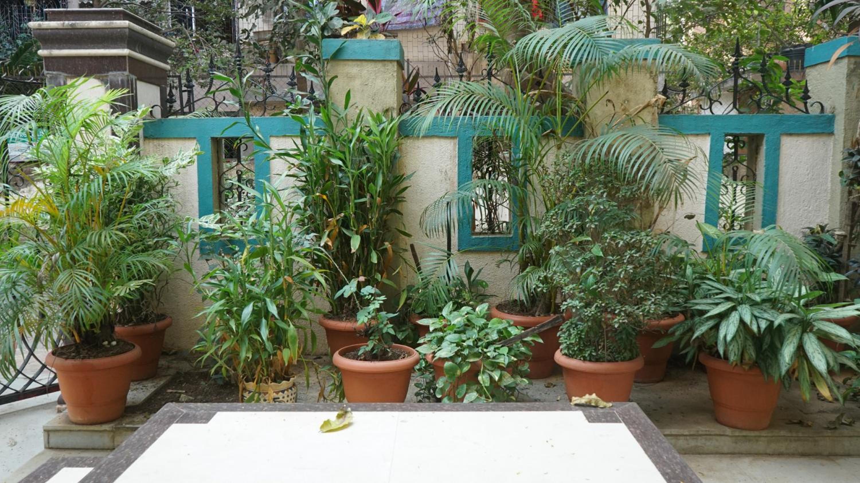 One-Bedroom Villa photo 2