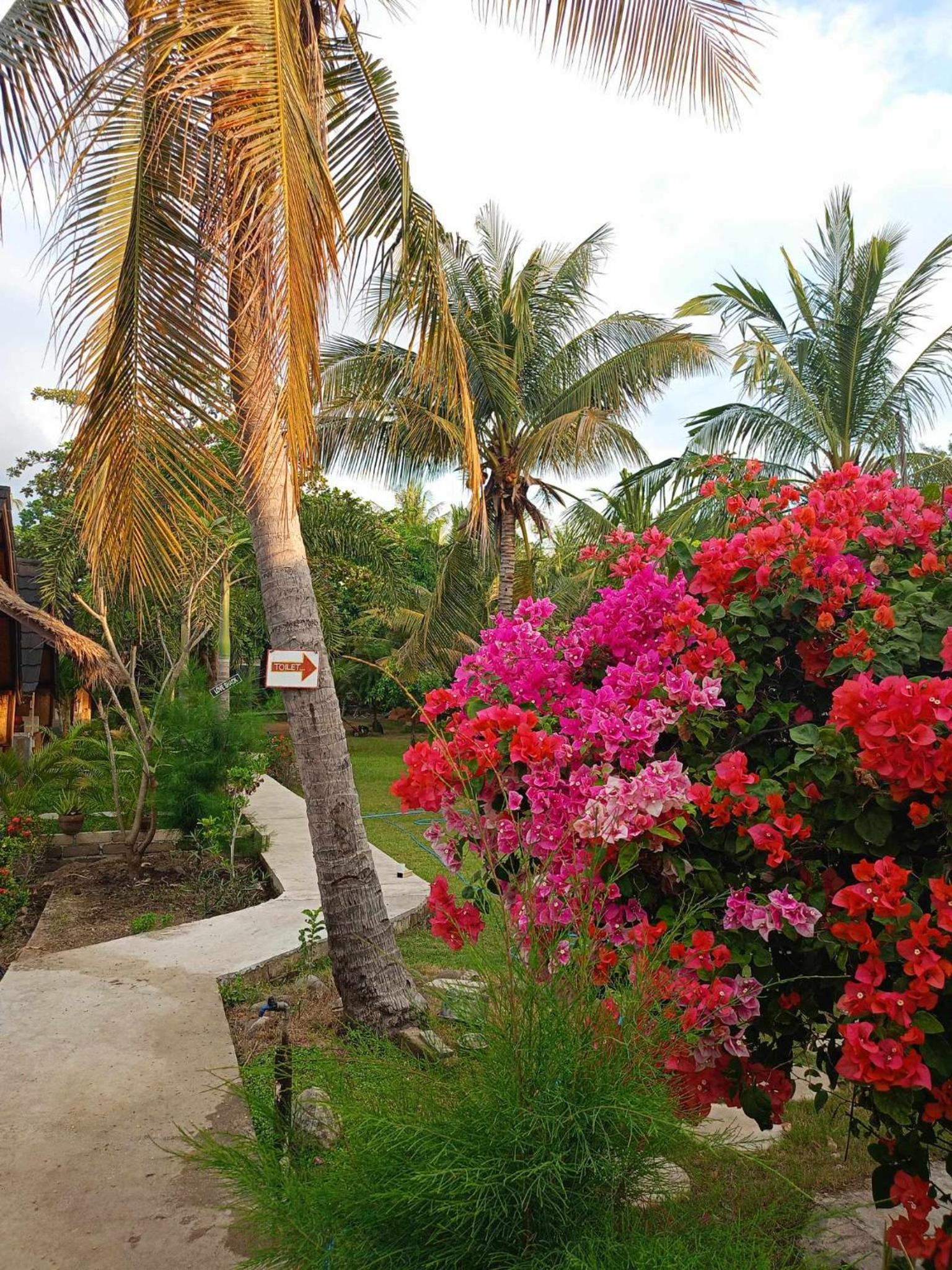 Bungalow with Garden View - Photo 14