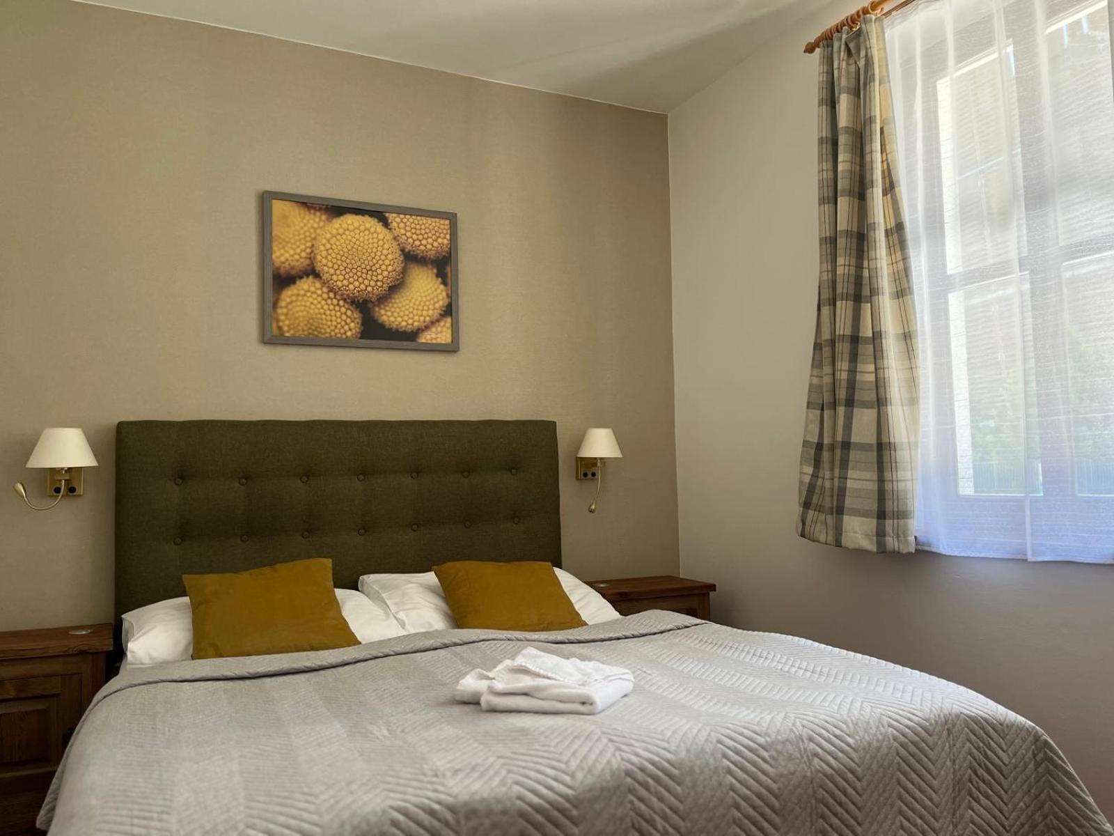 Special Offer - Double Room with Wellness Package photo 1