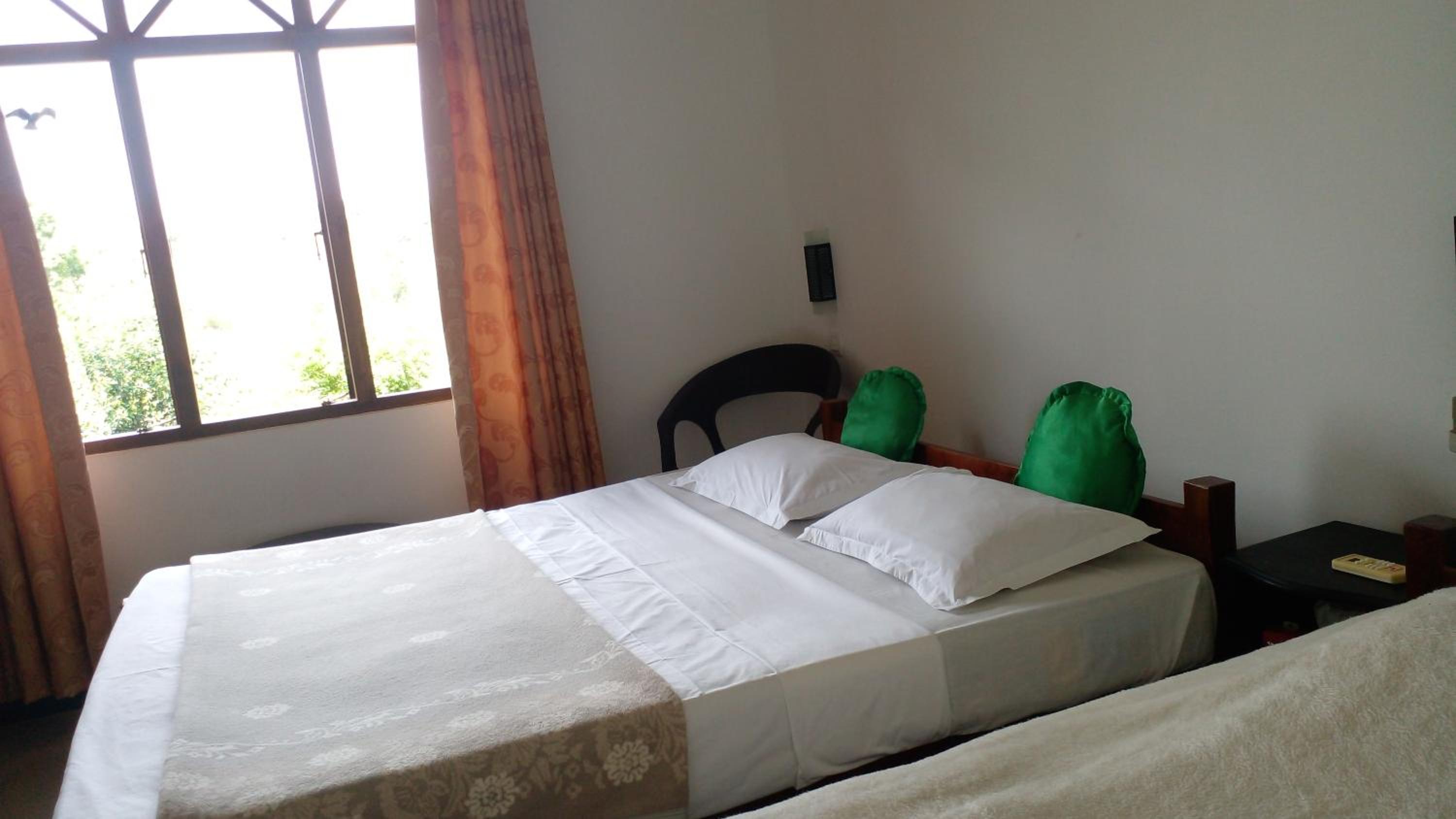 Budget Single Room photo 1