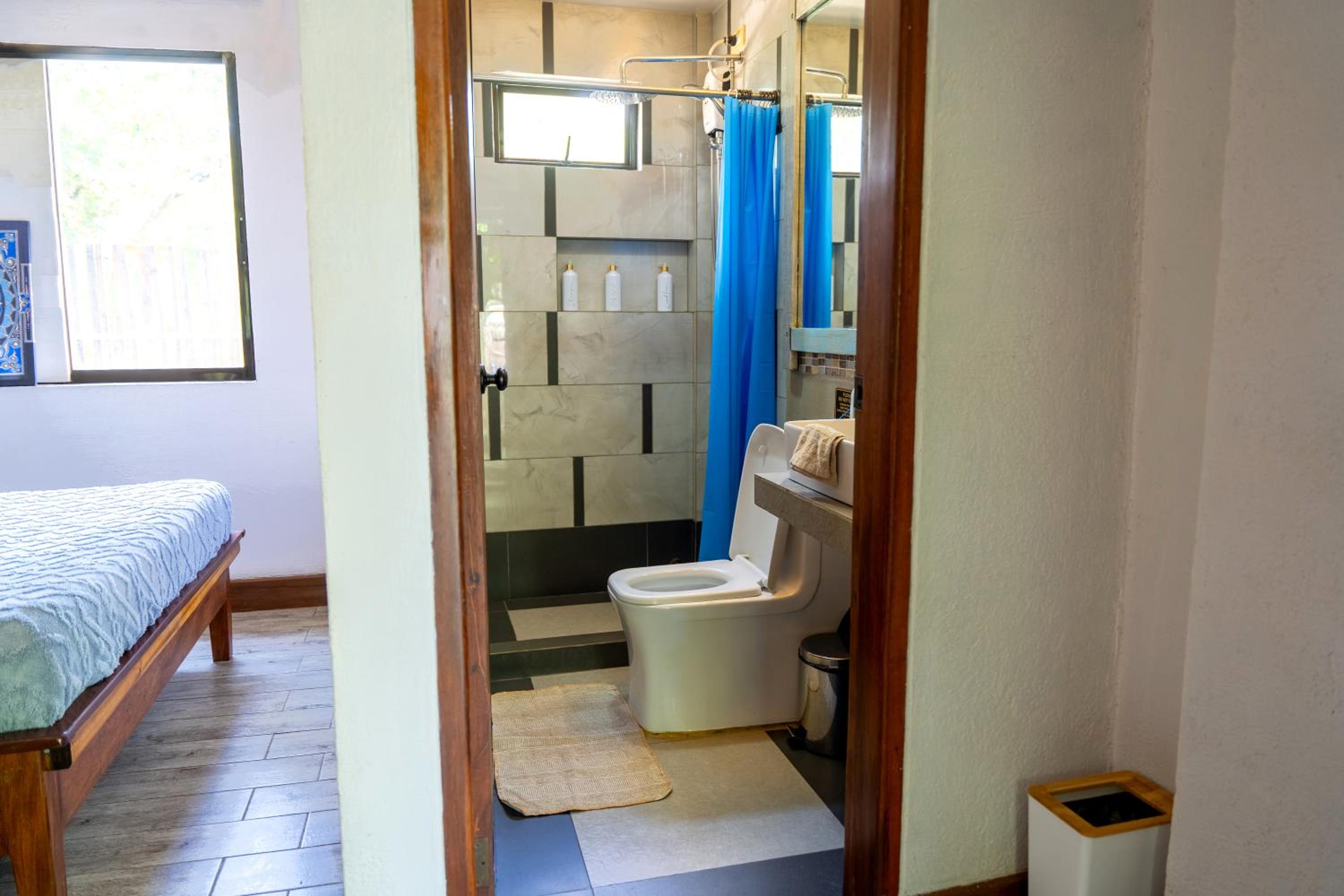 Double or Twin Room - Disability Access photo 3