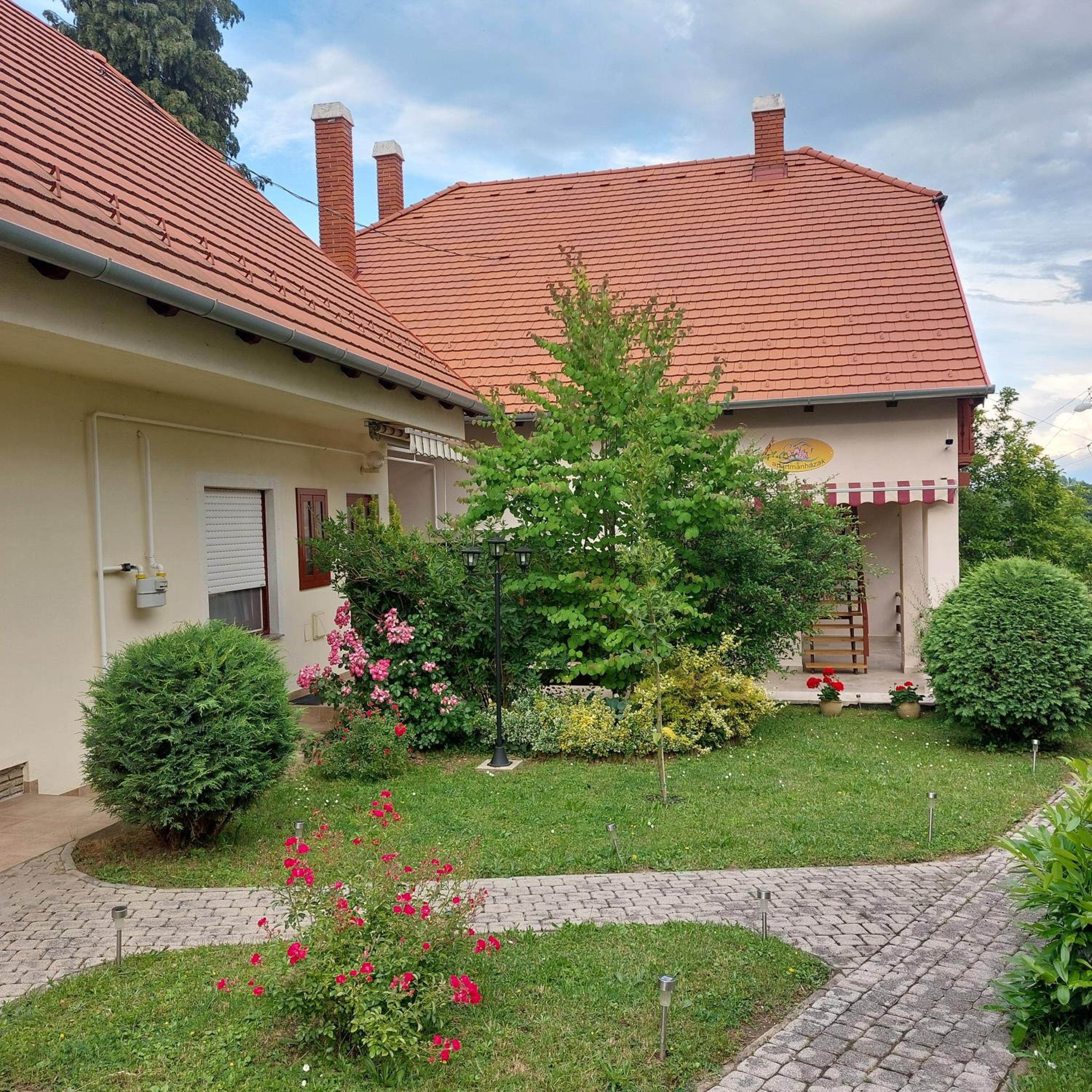 Apartment with Terrace photo 3