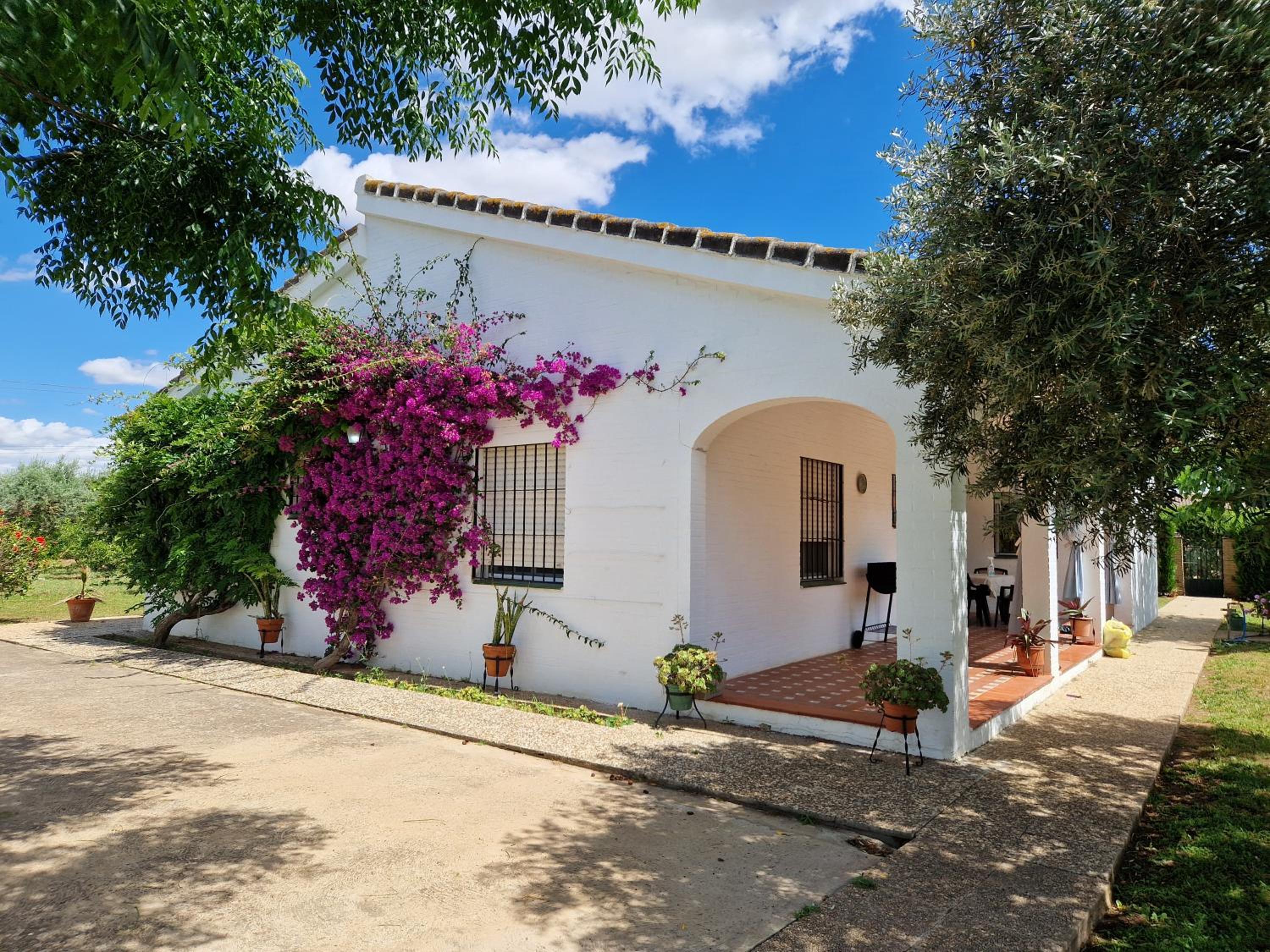 Three-Bedroom House photo 2