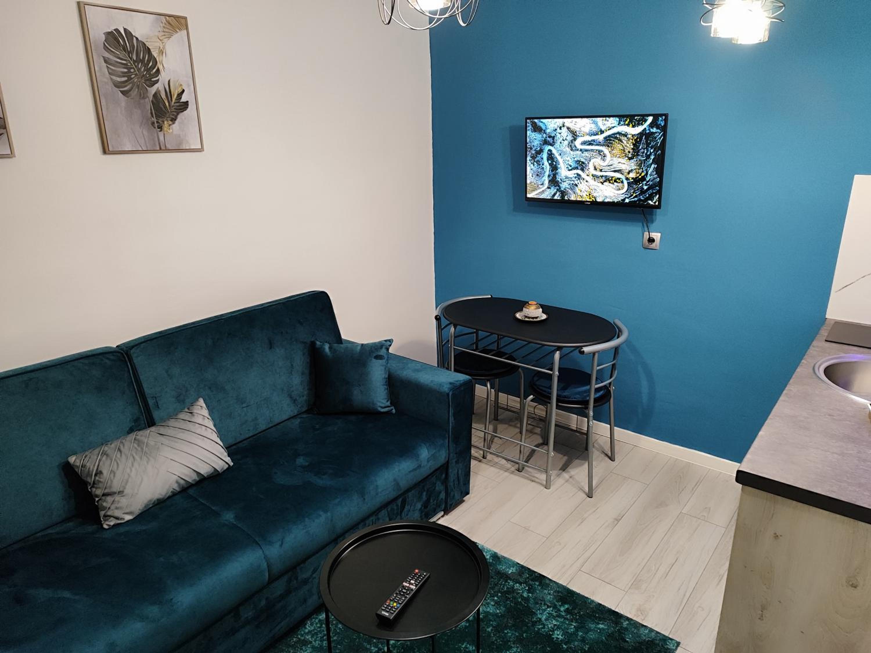 One-Bedroom Apartment with Terrace photo 2