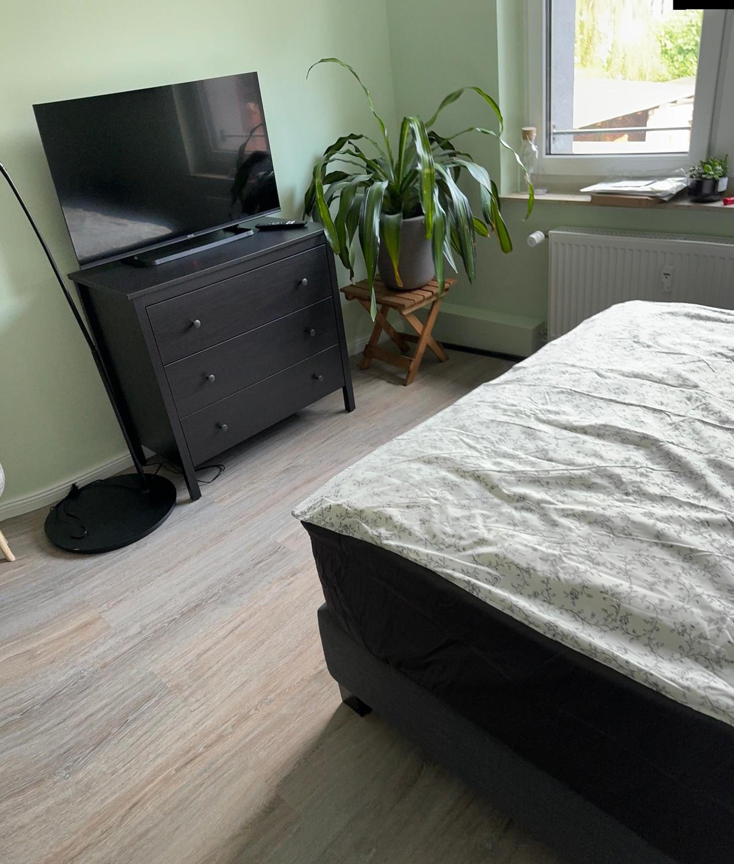 One-Bedroom Apartment photo 3