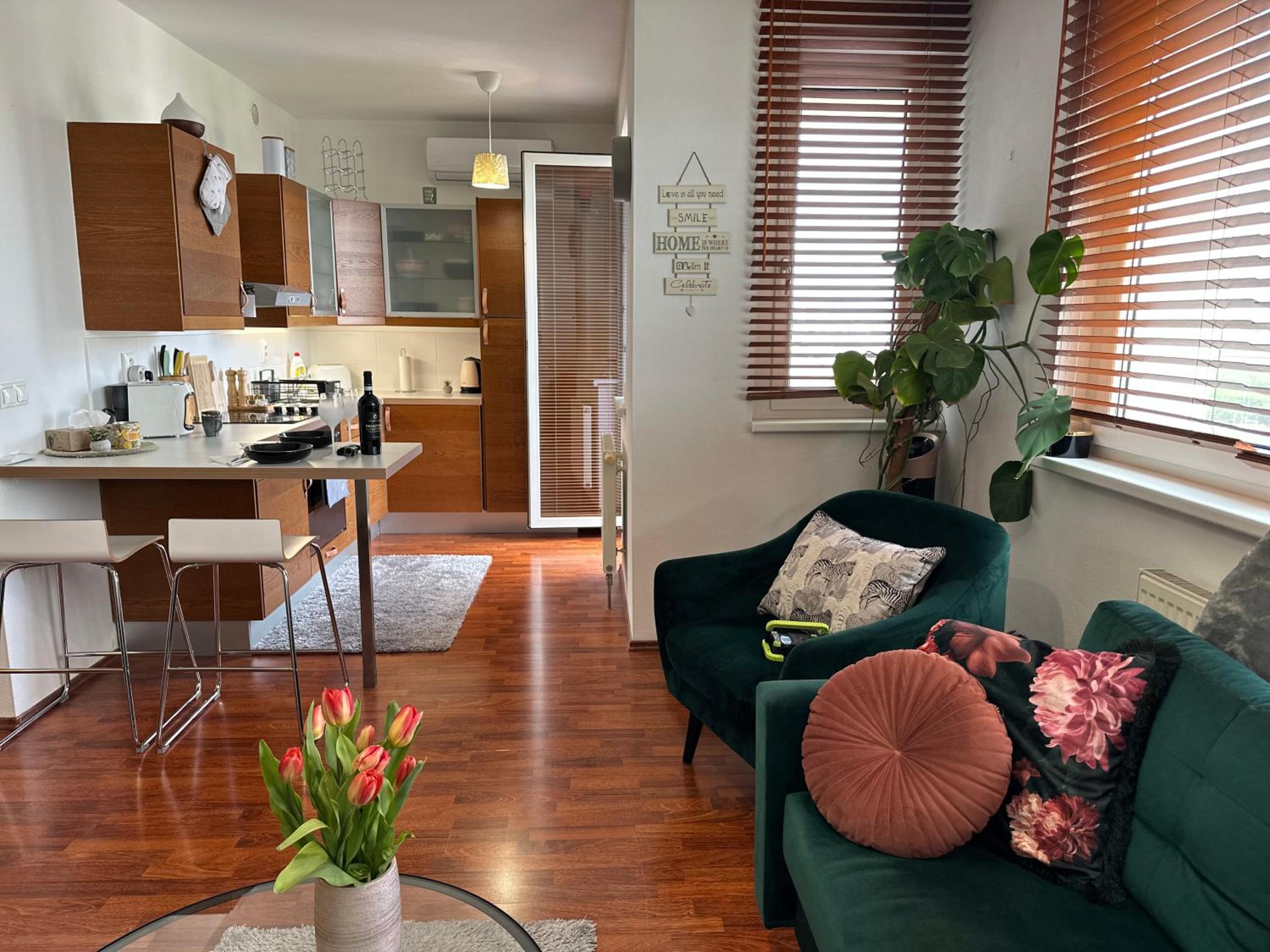 One-Bedroom Apartment photo 1
