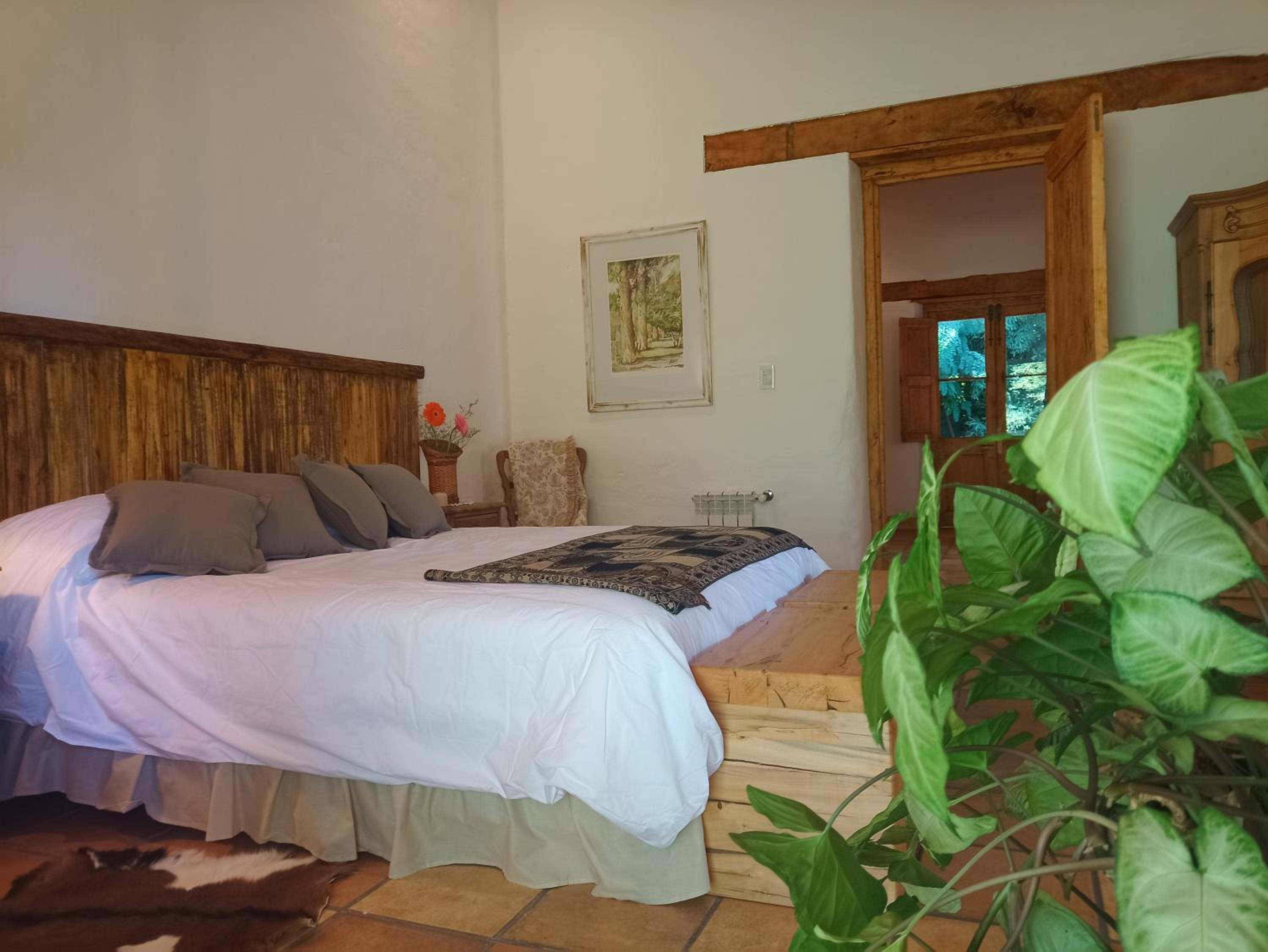 Double Room With Garden View photo 2