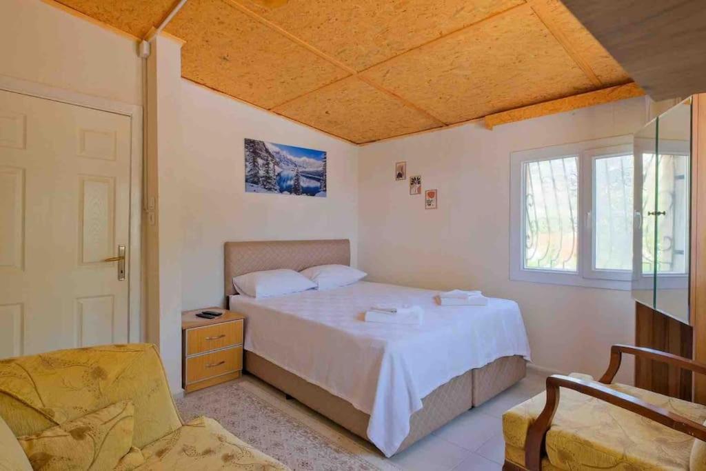 One-Bedroom Villa photo 3