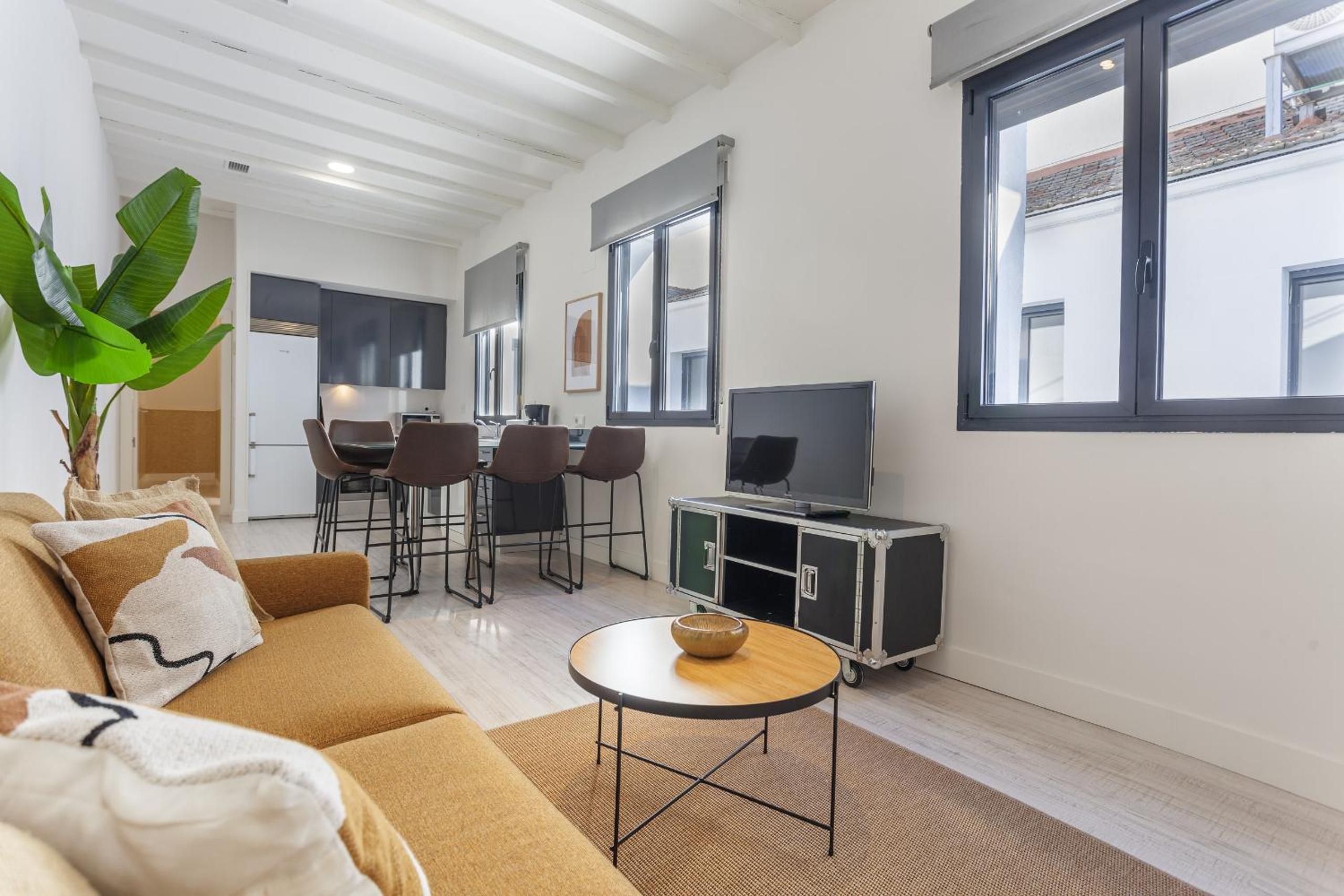 Apartamento de Dos Habitaciones XIV