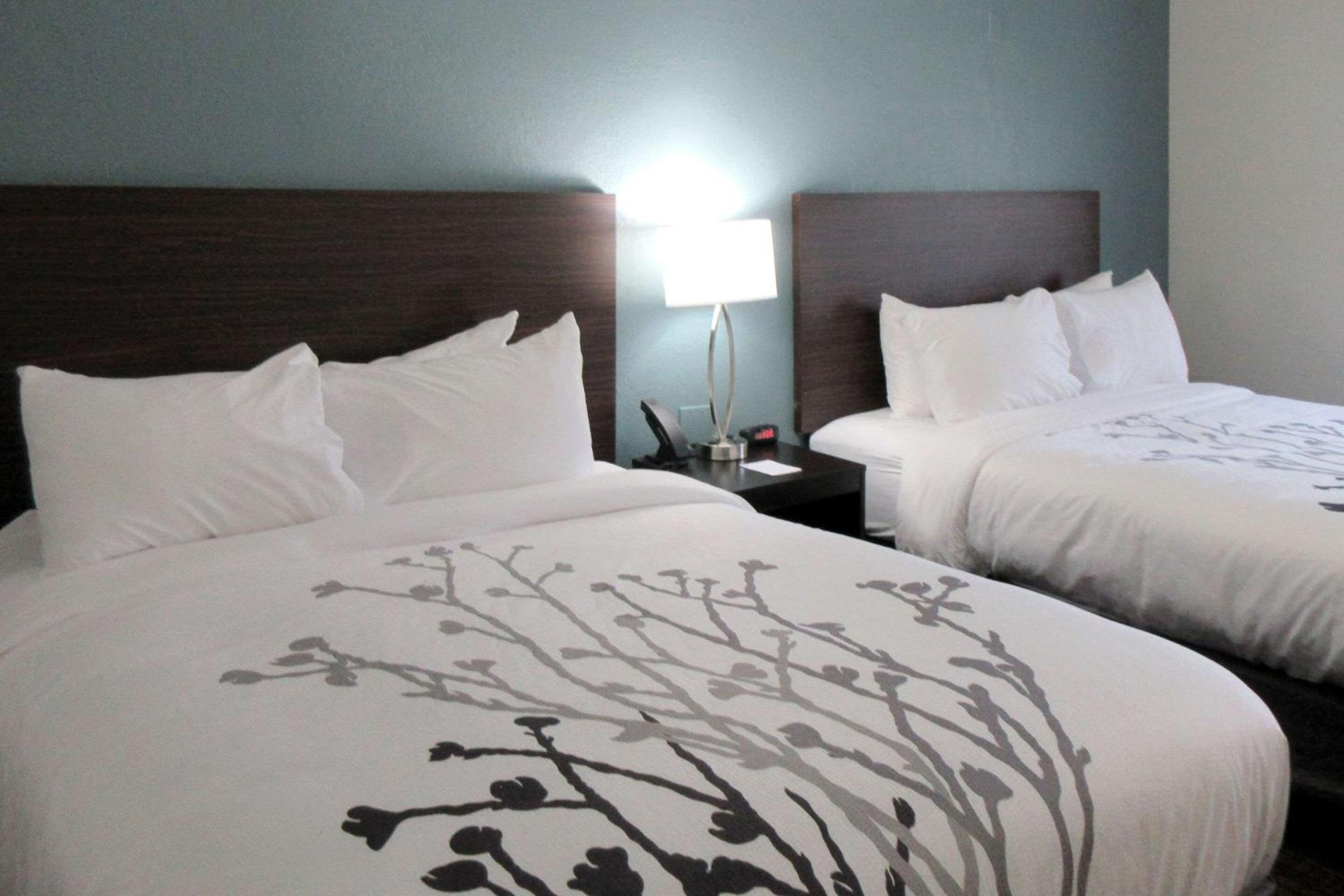 Queen Room with Two Queen Beds - Non-Smoking - Photo 3