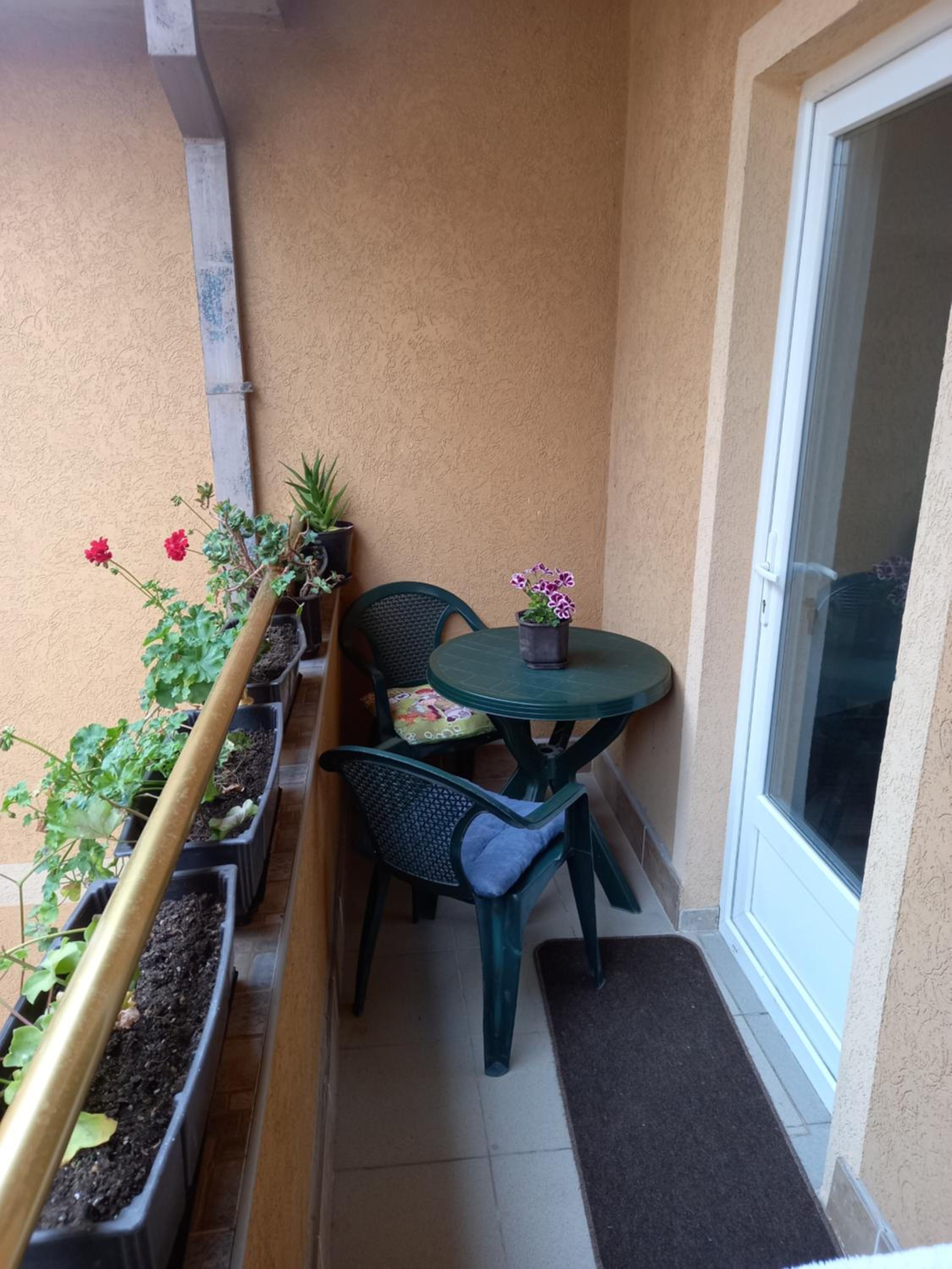 Studio with Terrace photo 3