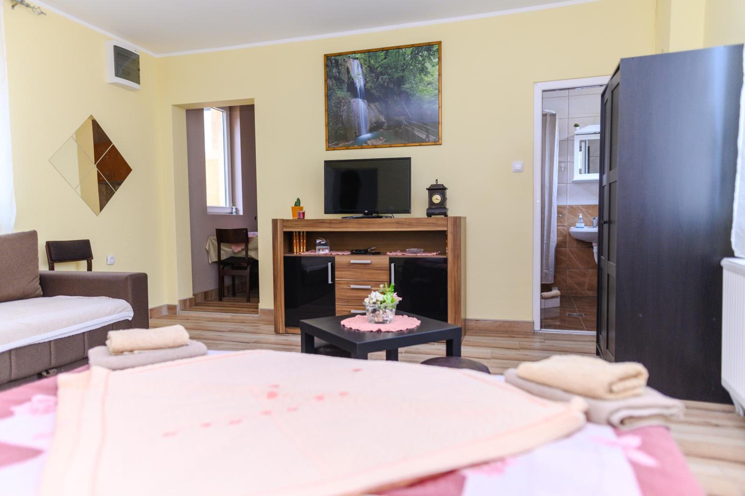 Studio with Terrace photo 1