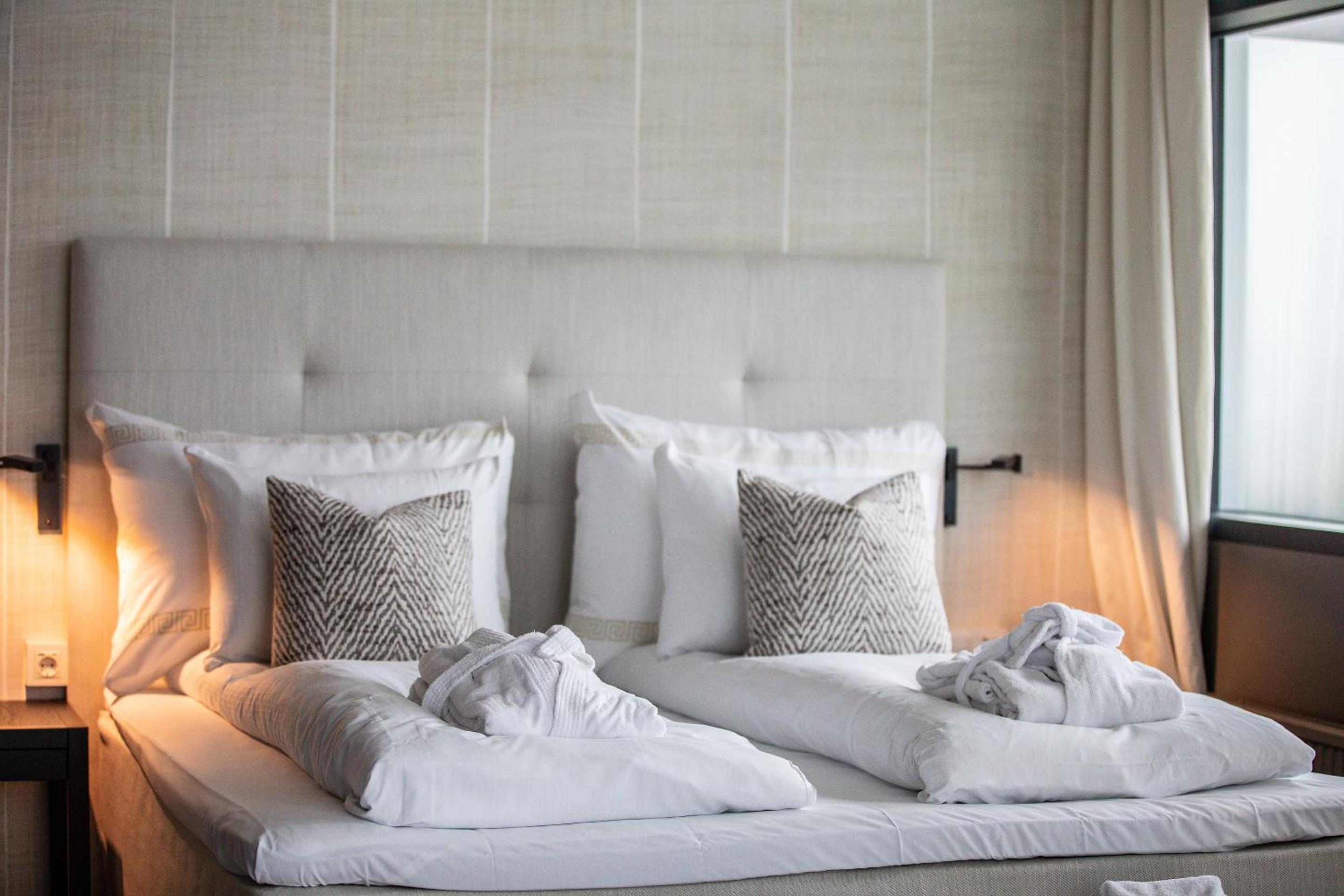 Suite - Photo 1