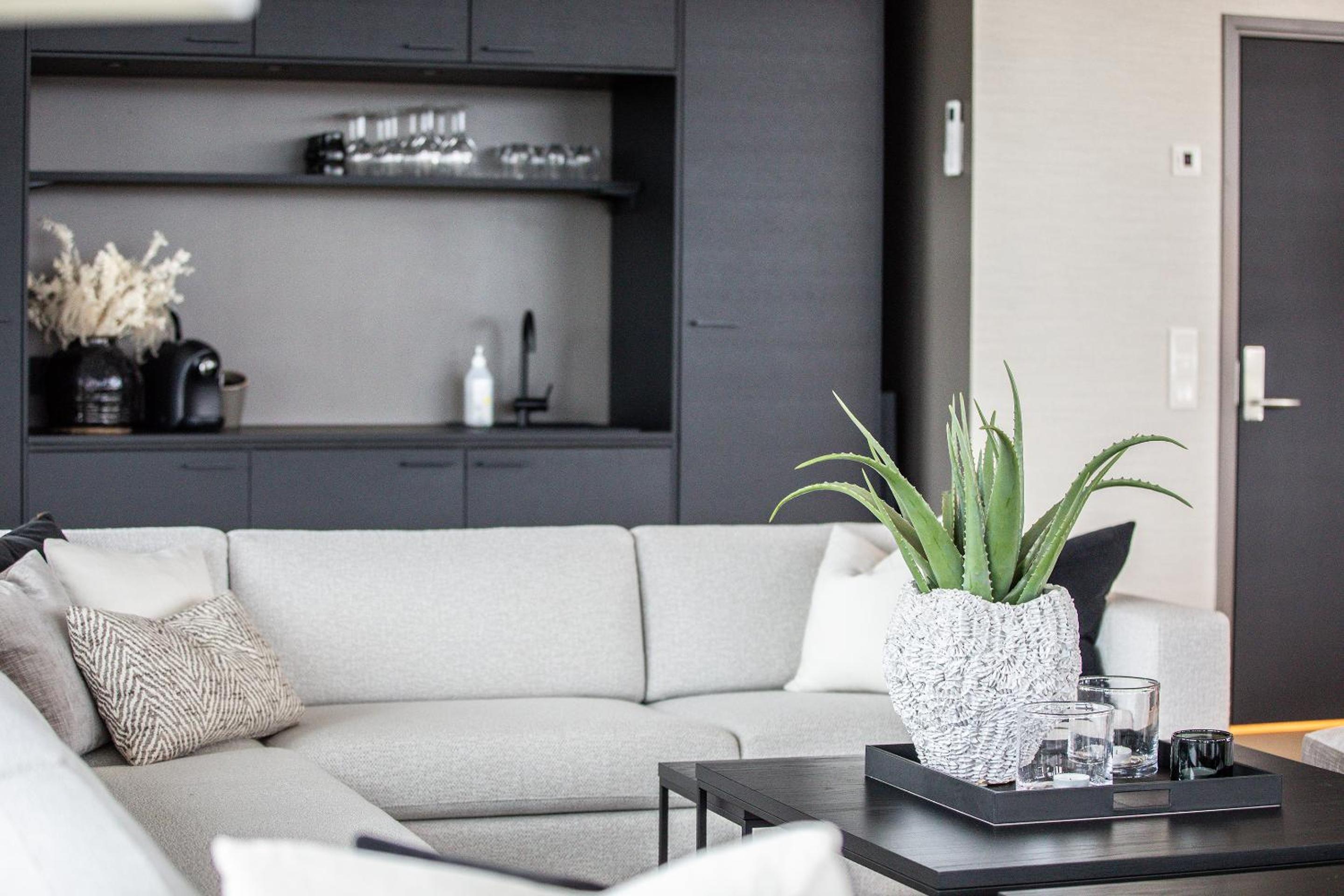 Suite - Photo 9
