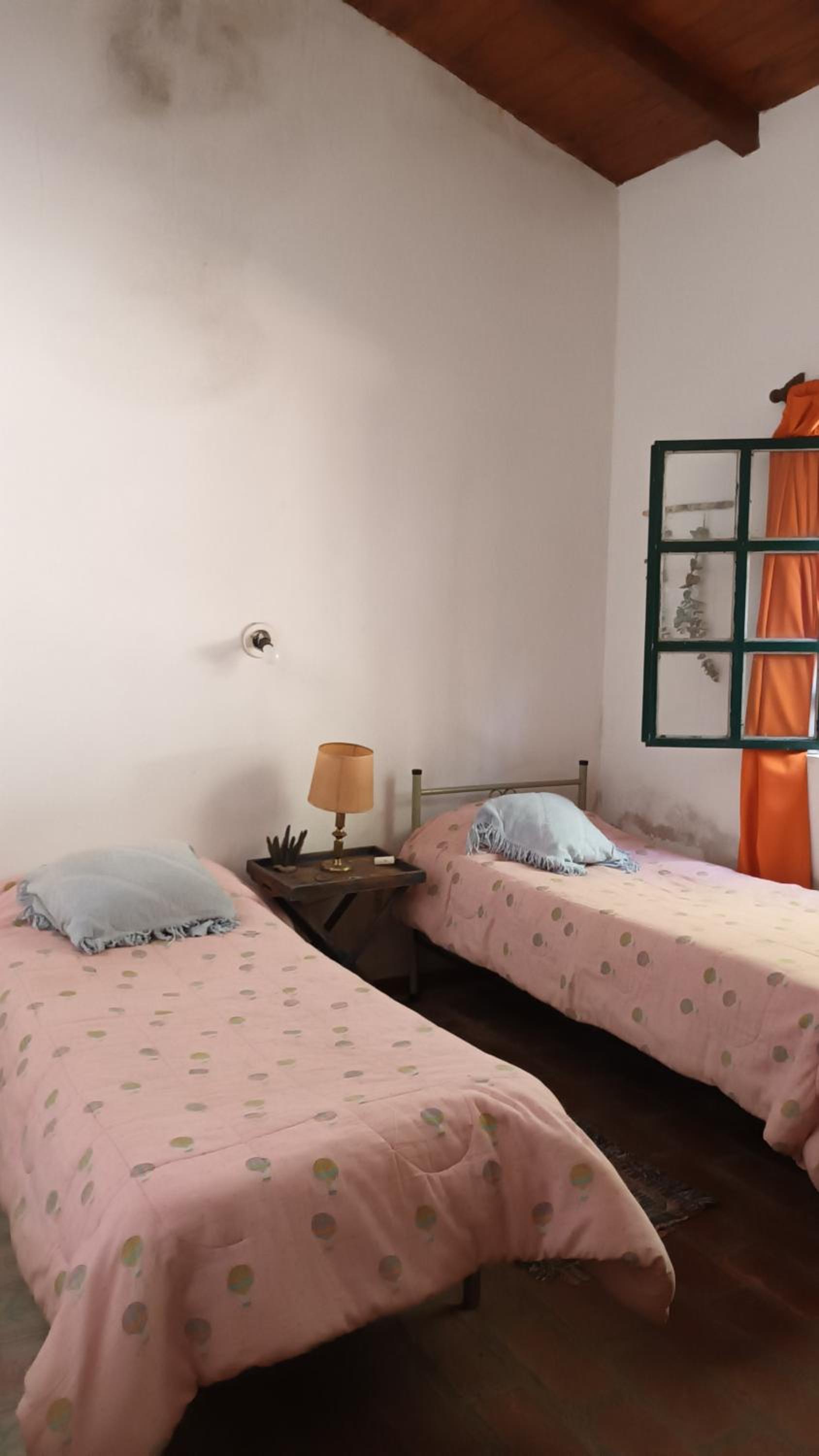 Twin Room photo 3