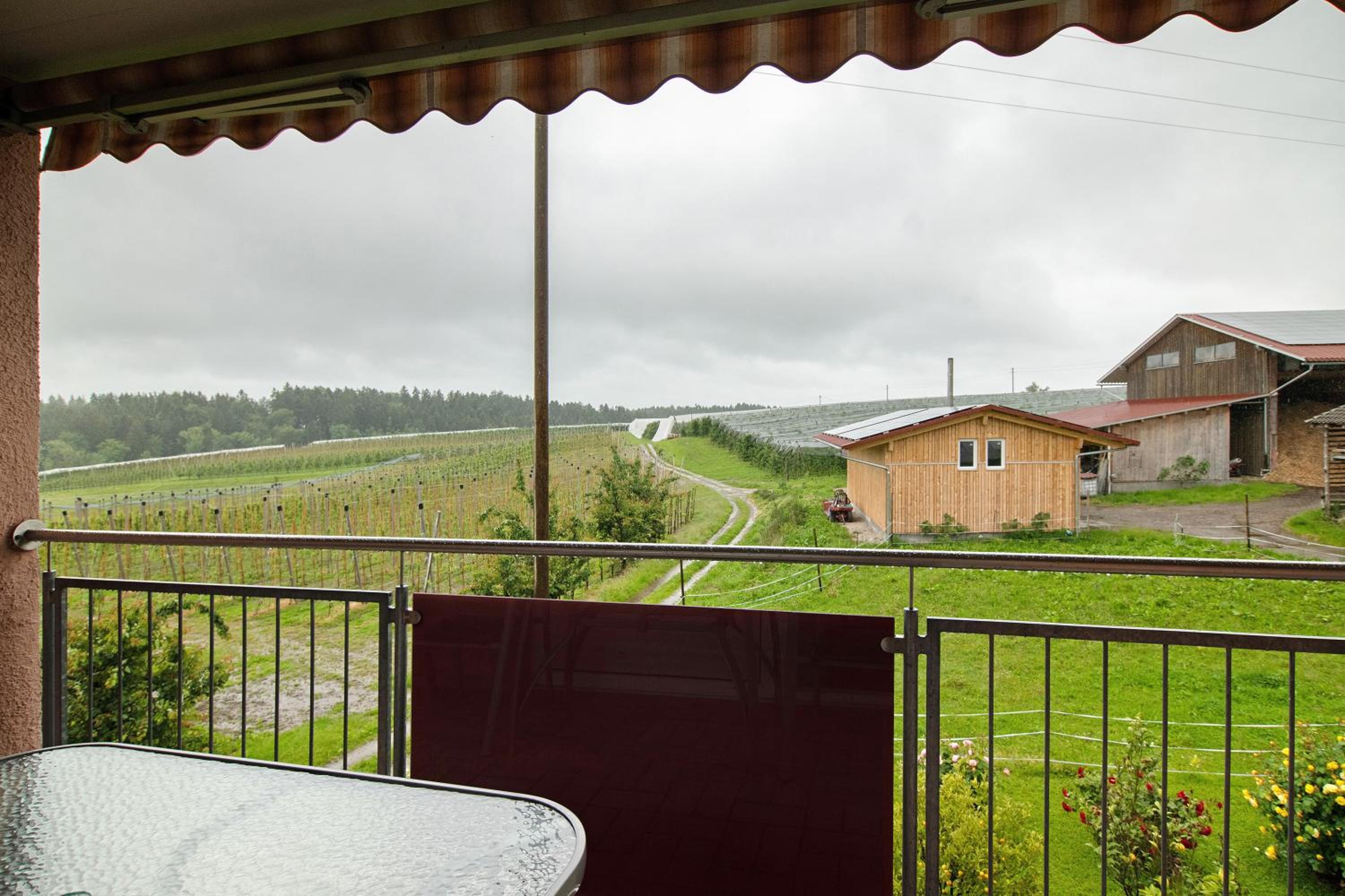 Two-Bedroom Deluxe Apartment with Garden View photo 2