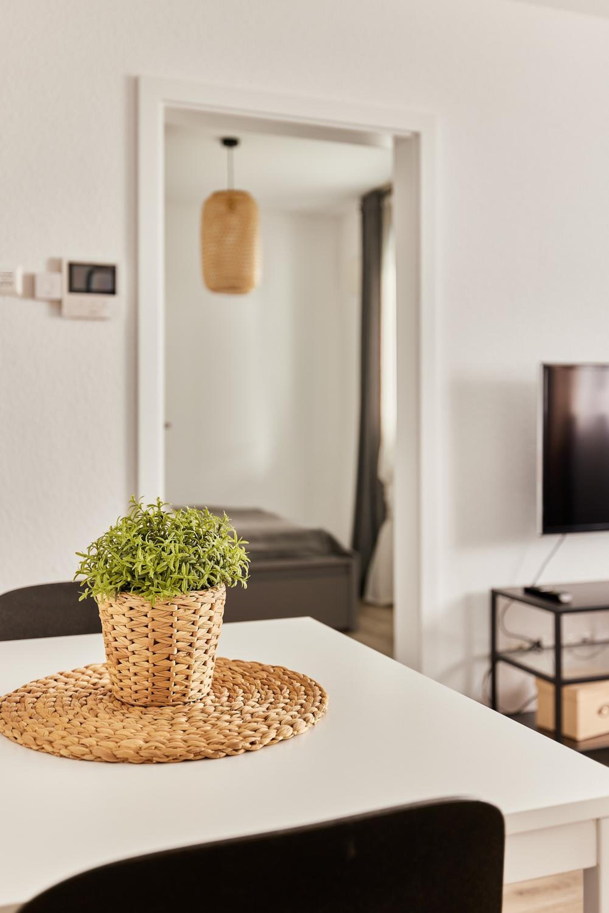 One-Bedroom Apartment photo 3