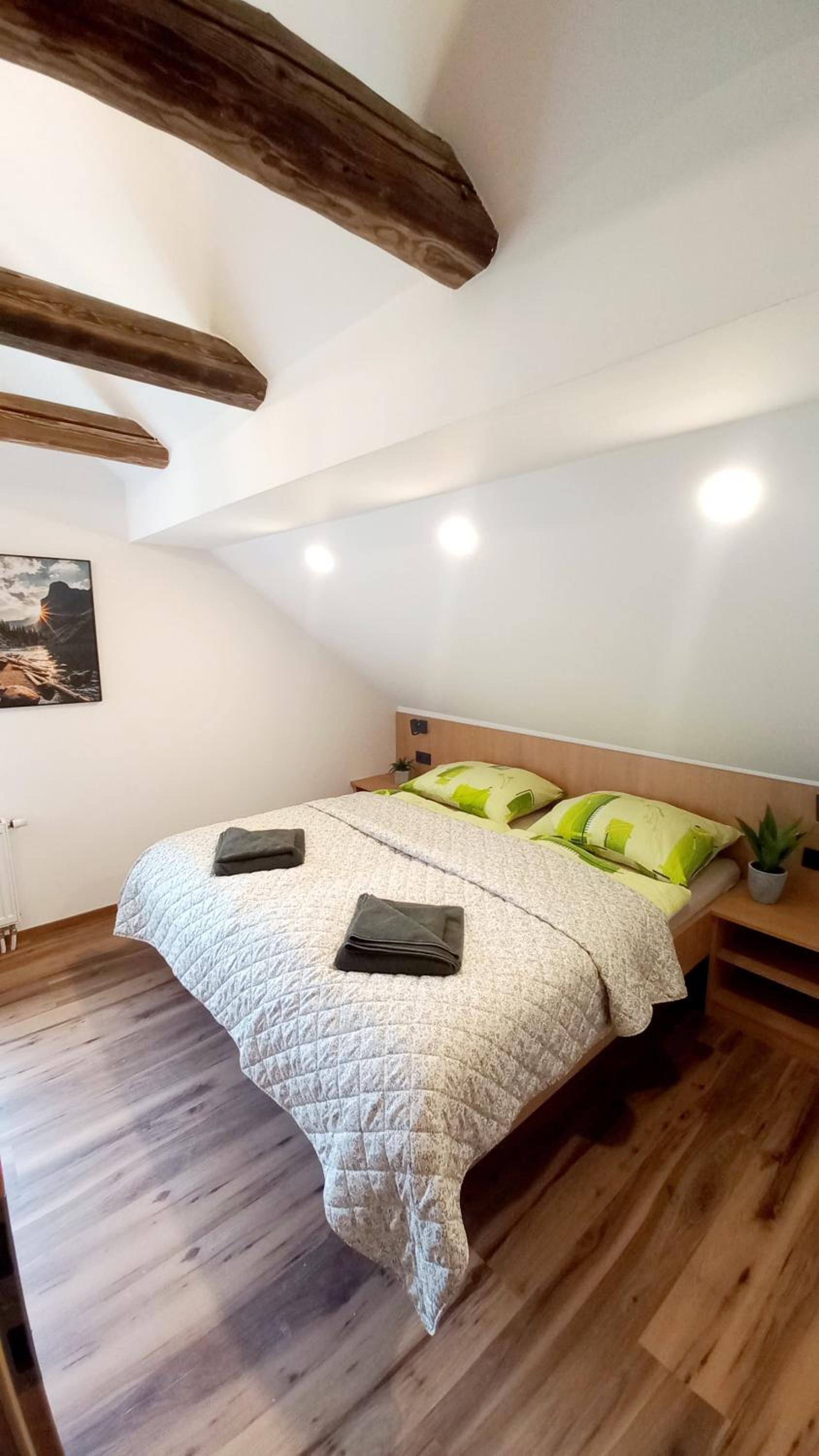 Two-Bedroom Deluxe Apartment