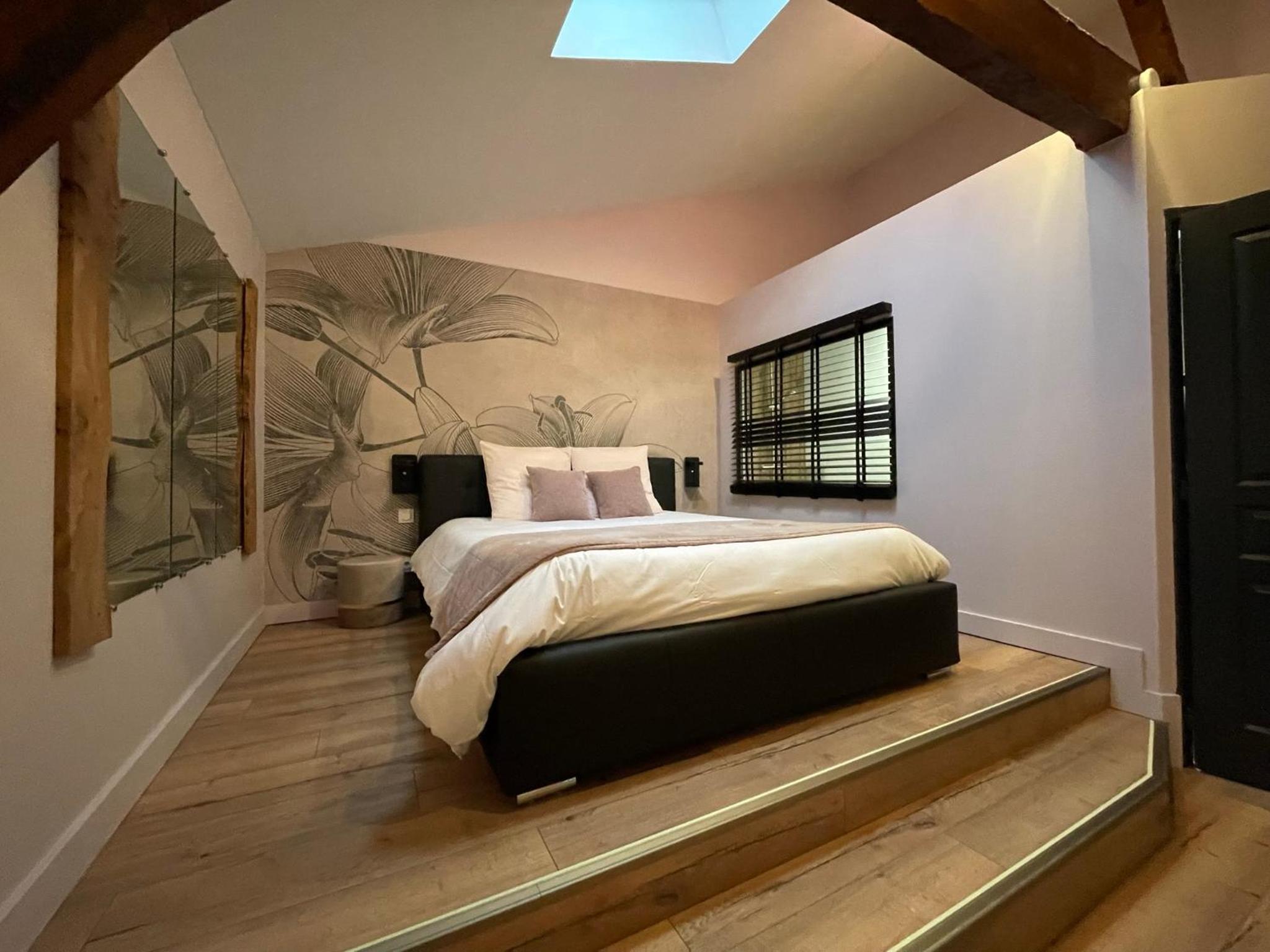 Suite - Photo 1