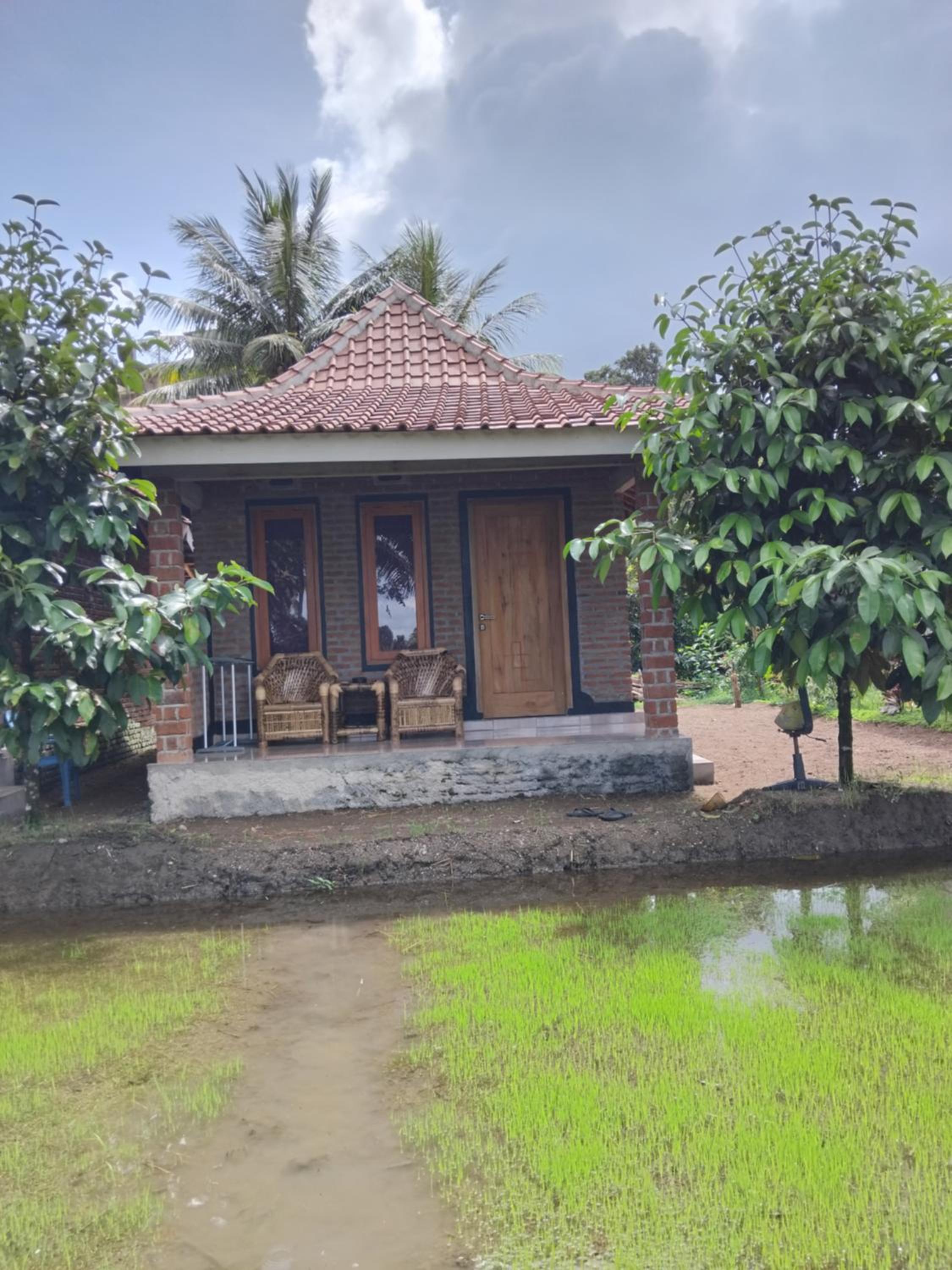 Family Room with Garden View photo 3