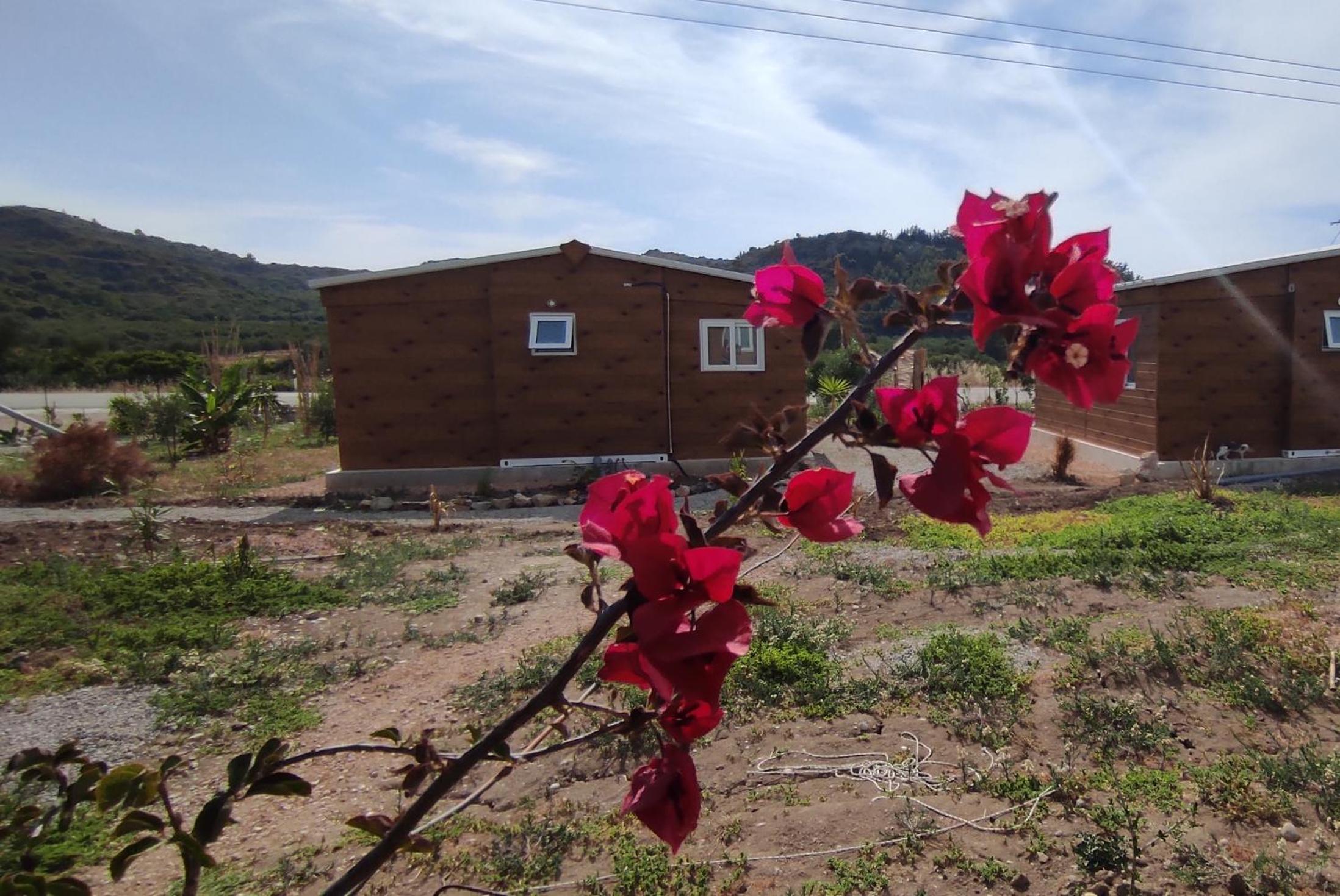Vacation Home photo 2