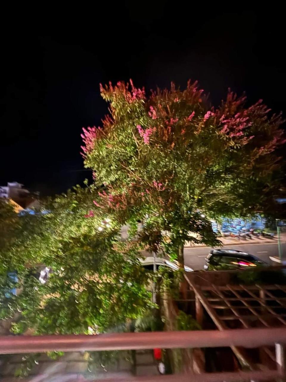 Quadruple Room with Balcony photo 3