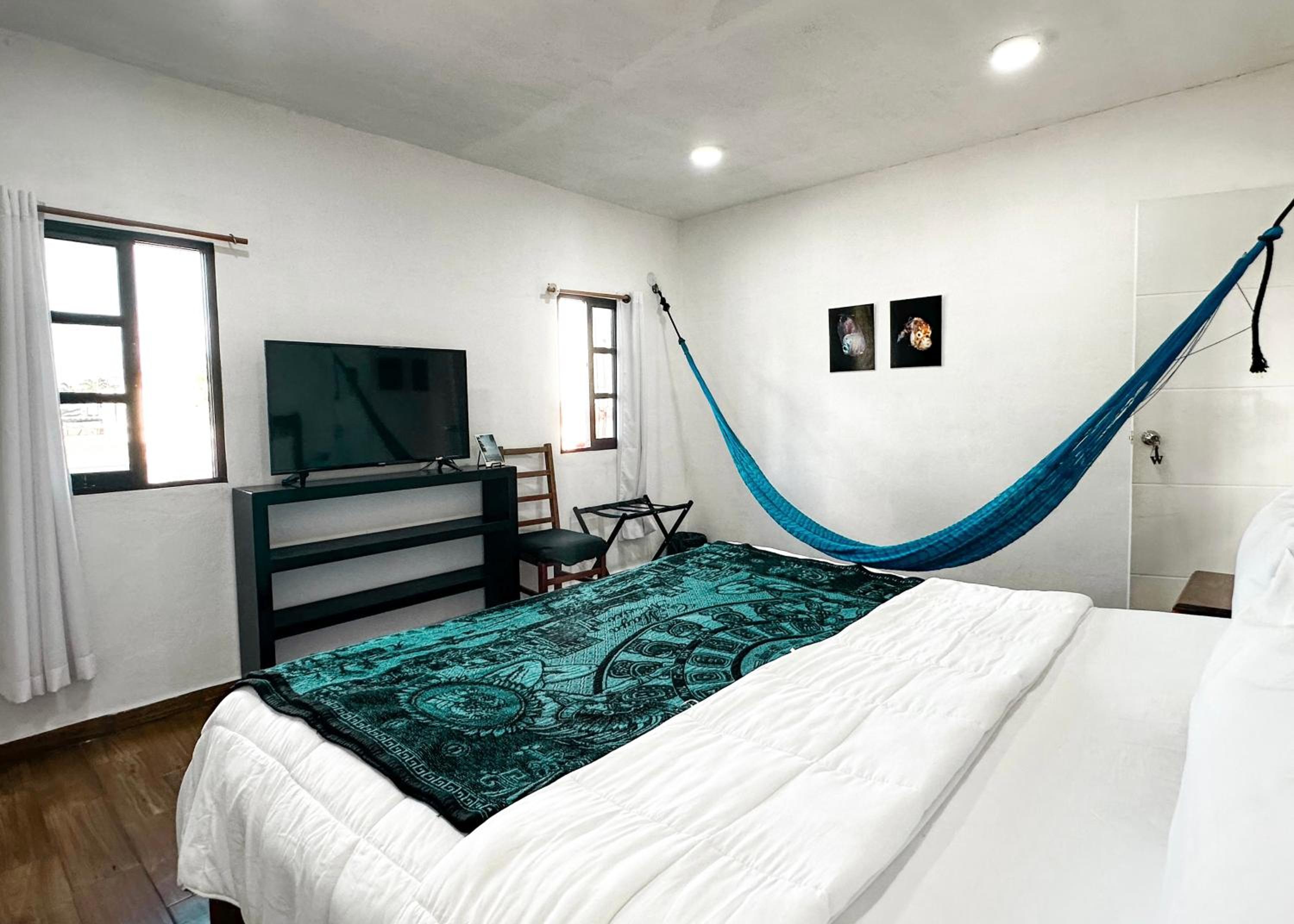 King Room photo 1
