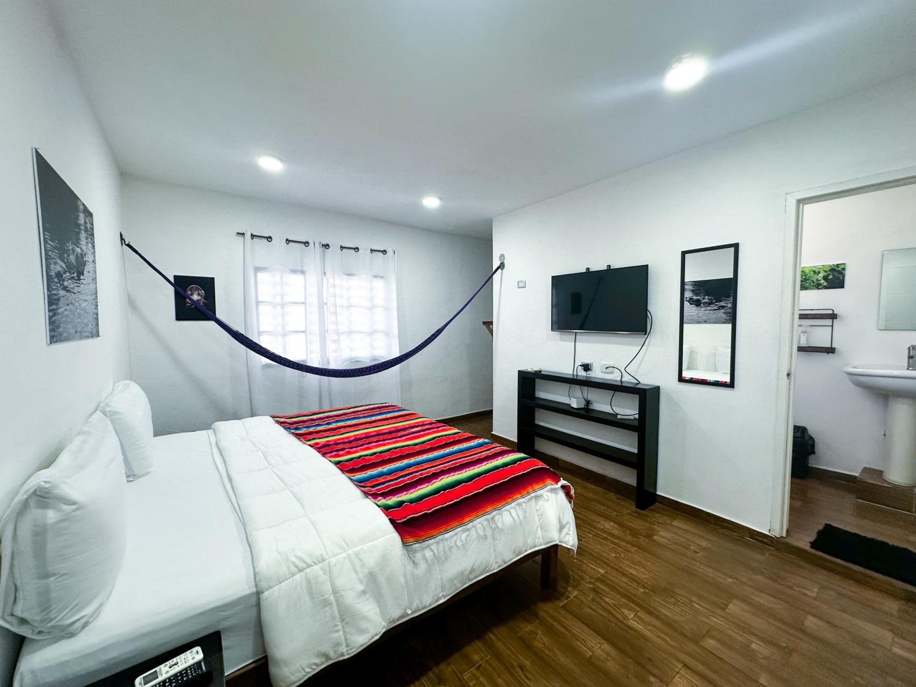 King Room photo 1