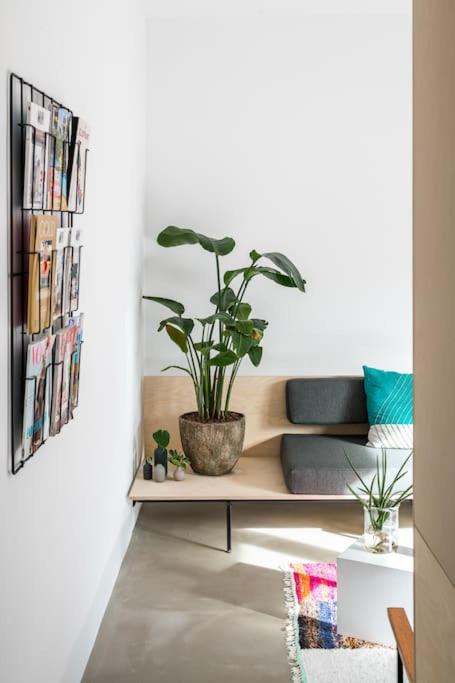 Three-Bedroom Apartment photo 1