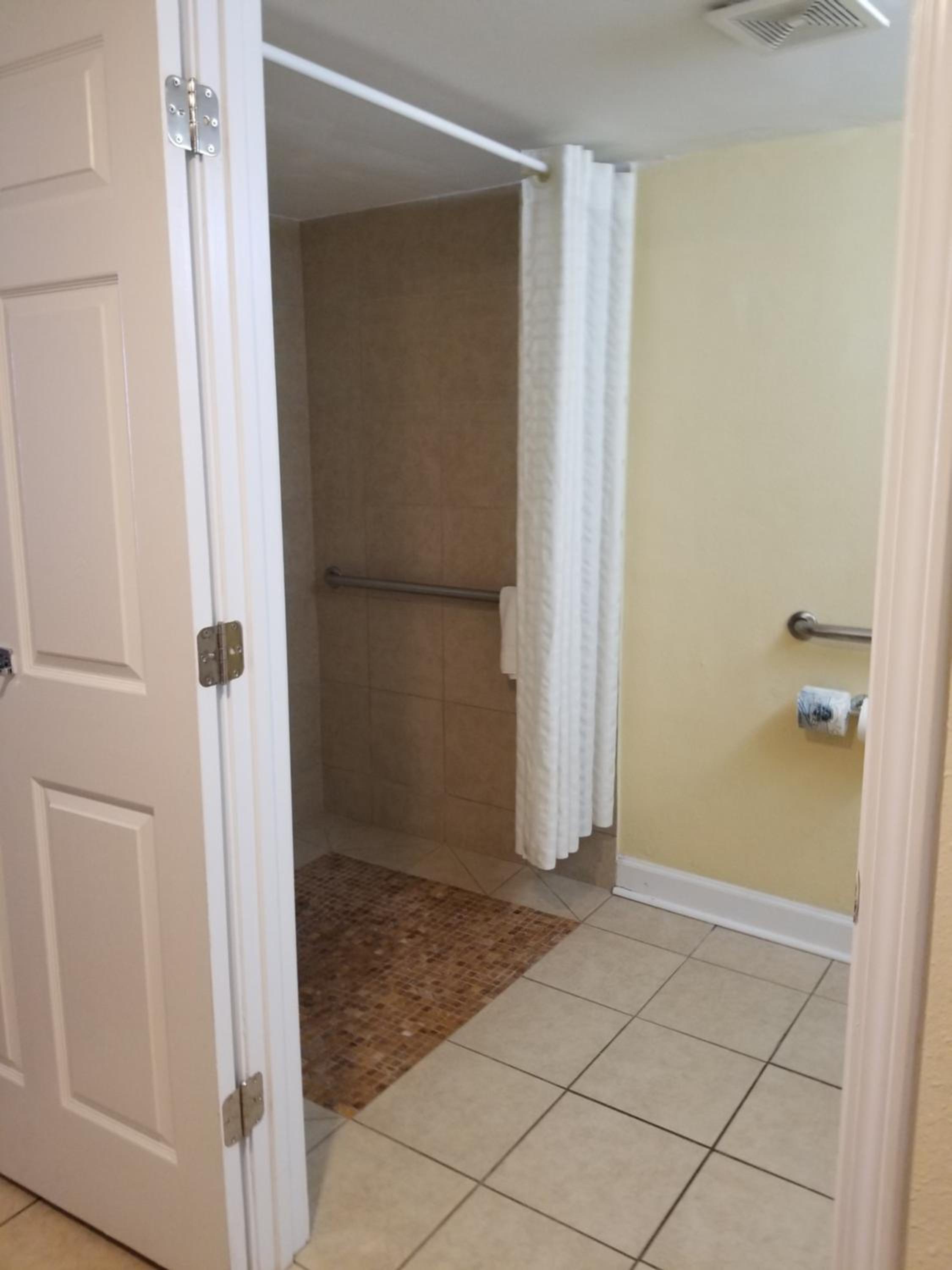 King Room with Mobility Accessible Roll-In Shower and Sofa Bed photo 3