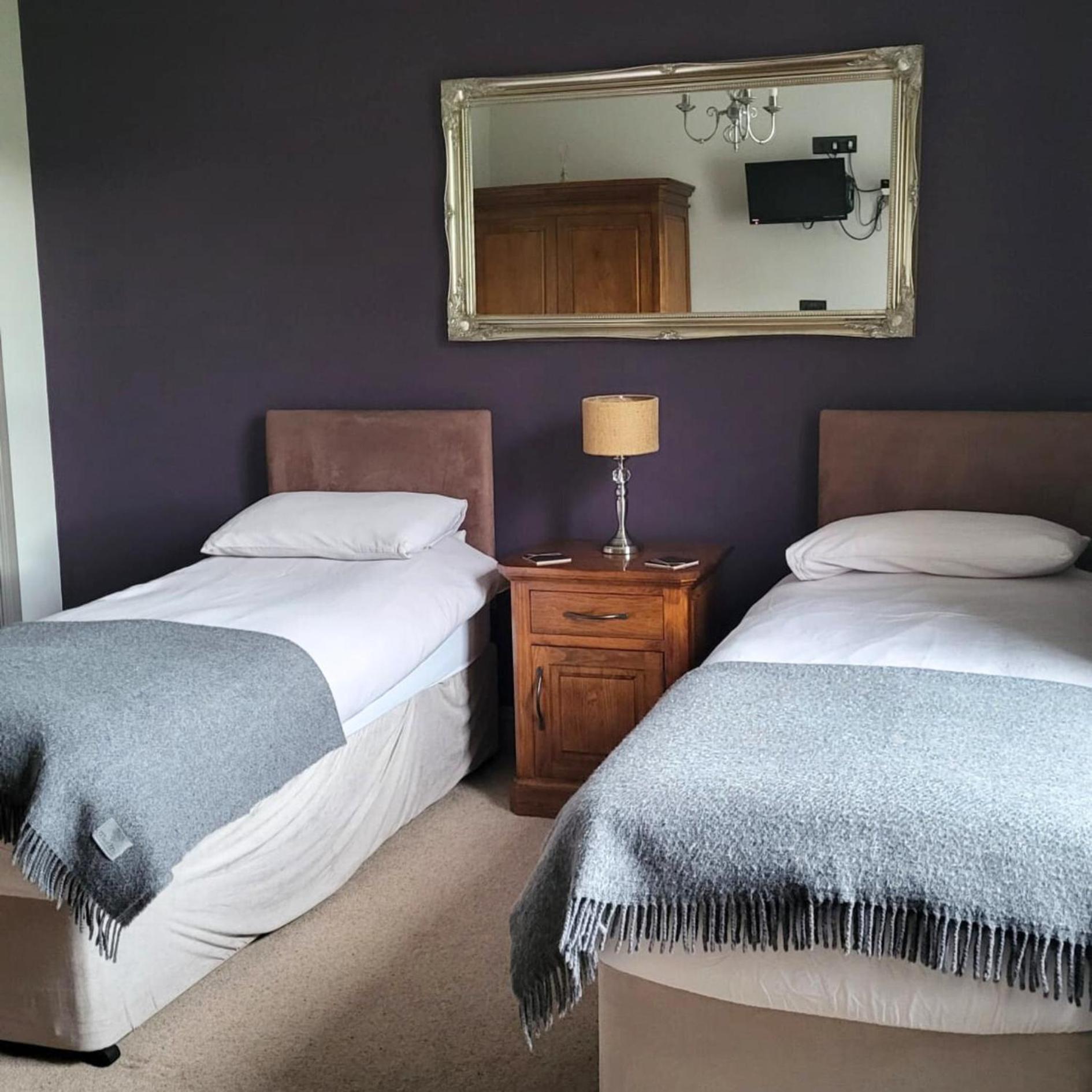 Large Double or Twin Room